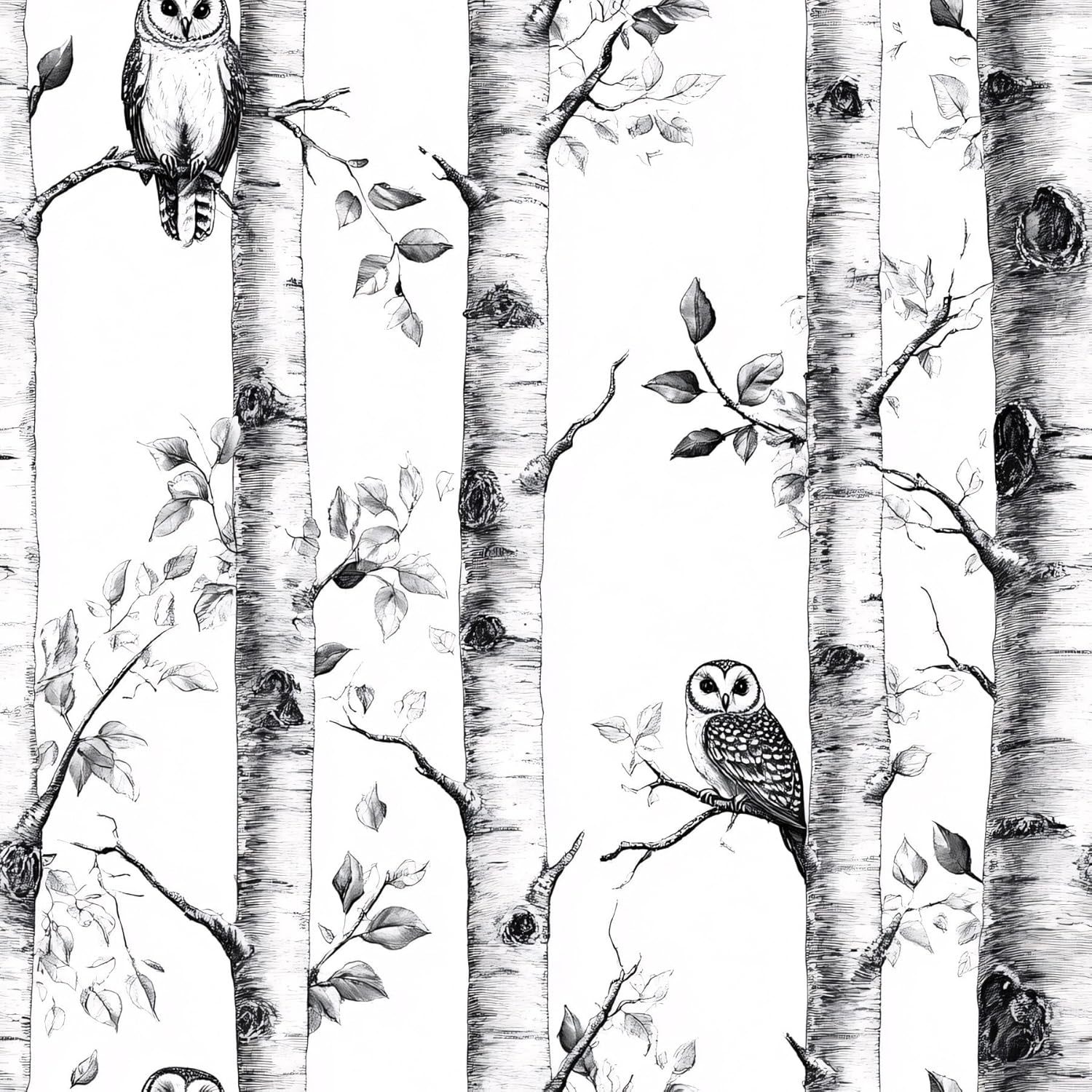 Birch Tree Peel and Stick Wallpaper, Owl Wallpaper, Self Adhesive Vinyl Black and White Wall Paper for DIY Home Decor, 17.7in x 236in