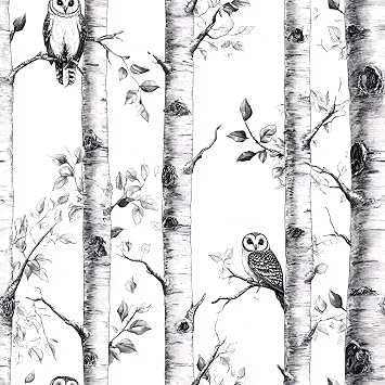 Birch Tree Peel and Stick Wallpaper, Black and White Owl Wallpaper