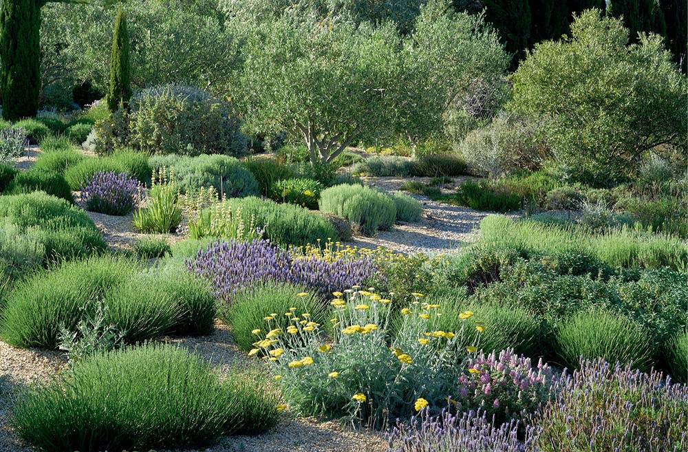 Planting Design for Dry Gardens: Beautiful, Resilient Groundcovers for Terraces, Paved Areas, Gravel and Other Alternatives to the Lawn