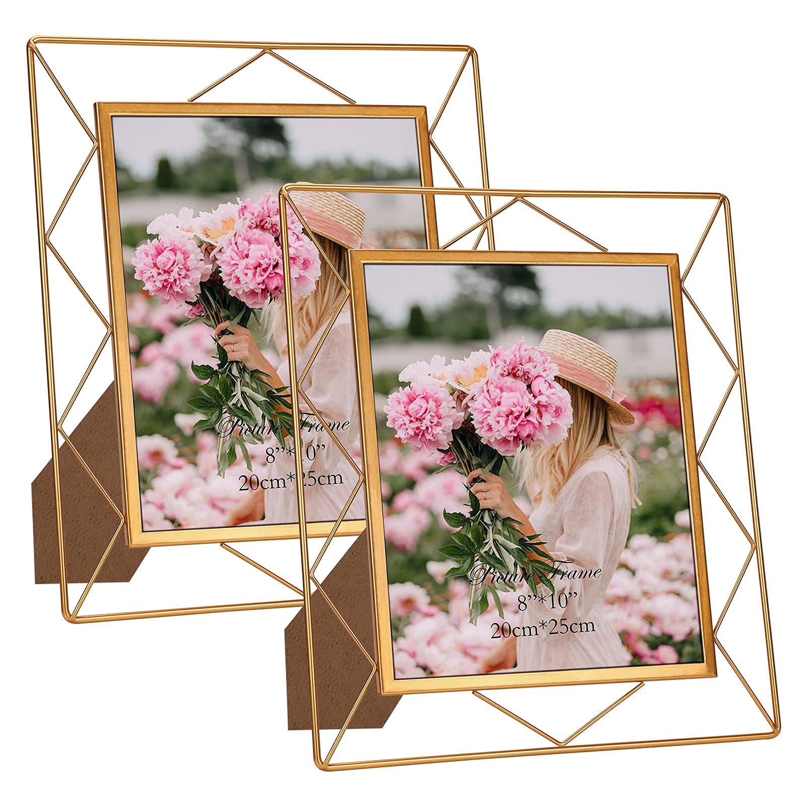 8x10 Picture Frame Set of 2, Metal Frames Fits 8 by 10 Inch Photo Tabletop or Wall Mounting Display