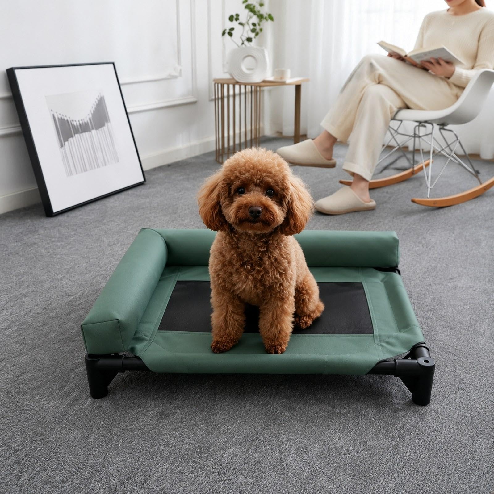 Colcolo Cuccia Rialzata per Cani, Traspirante, Materassino Lavabile, Robusta Cuccia Rialzata per Animali Domestici, Cuccia per Gatti, Cuccioli, Cani di Piccol, Verde