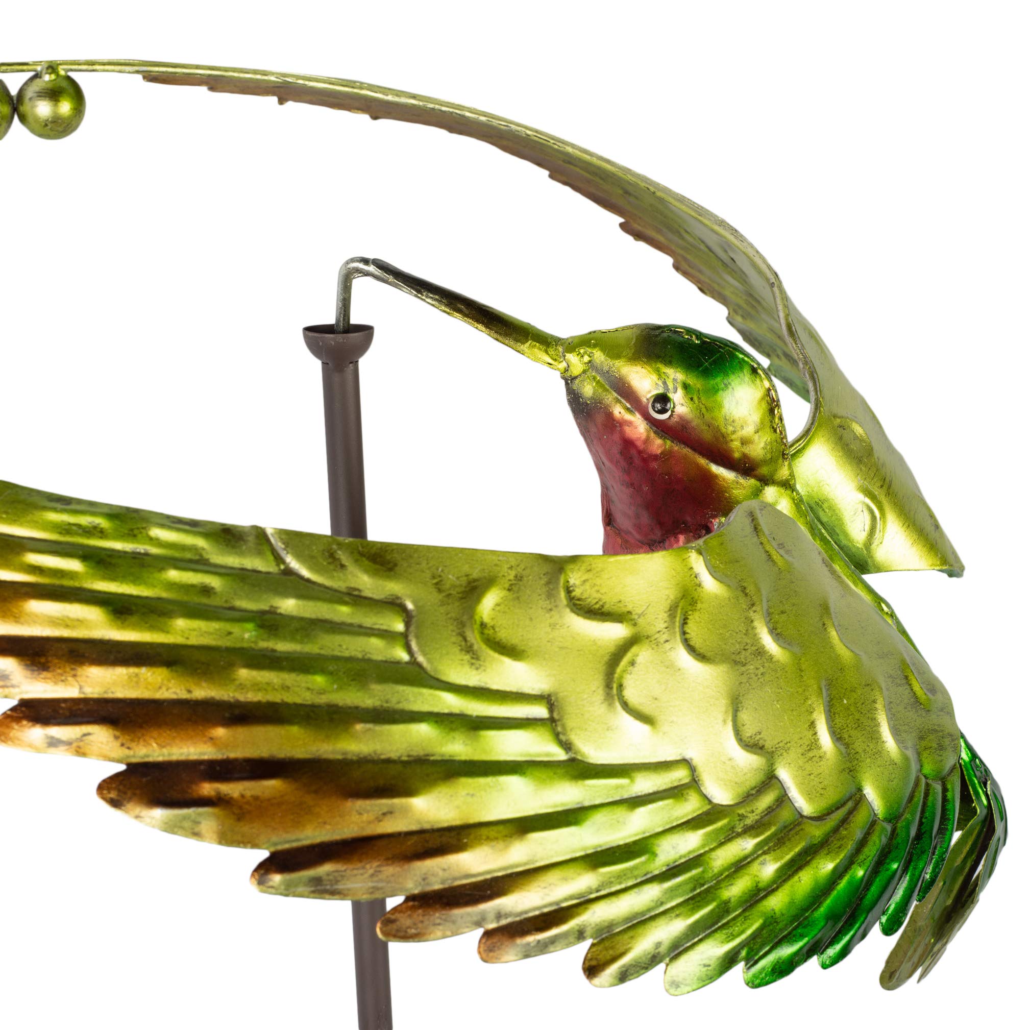 美品】SUNDINISTA EXPERIENCE HUMMING BIRDS 美品】SUNDINISTA