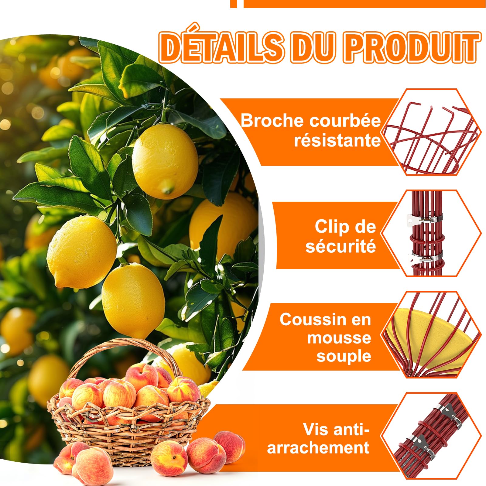 LAANPOLE Cueille Fruit Telescopique 6m avec Grand Panier de Cueillette pour Pommes, Oranges, Citrons