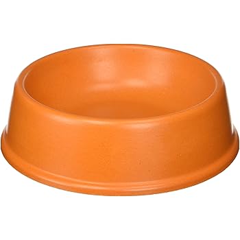 pitbull french bulldog