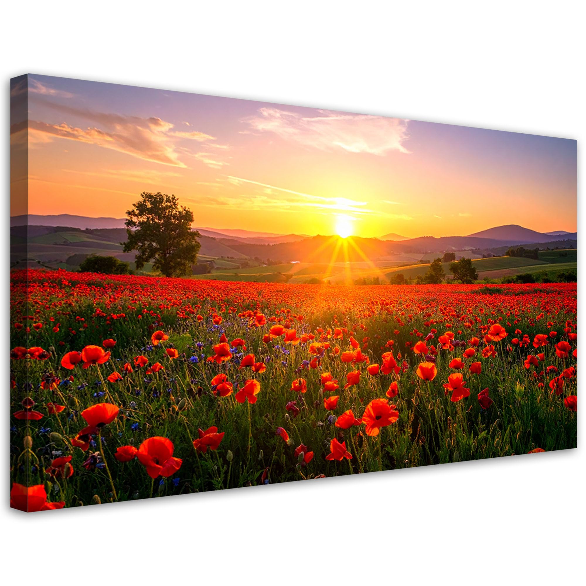 Feeby Leinwand Bilder - Bild Wohnzimmer - Mohnblumen auf einer Wiese Sonnenuntergang - 120x60 1tlg - Deko Schlafzimmer Groß - Dekoration Canvas - Gemälde - Modern Wandbilder - Kunstdruck