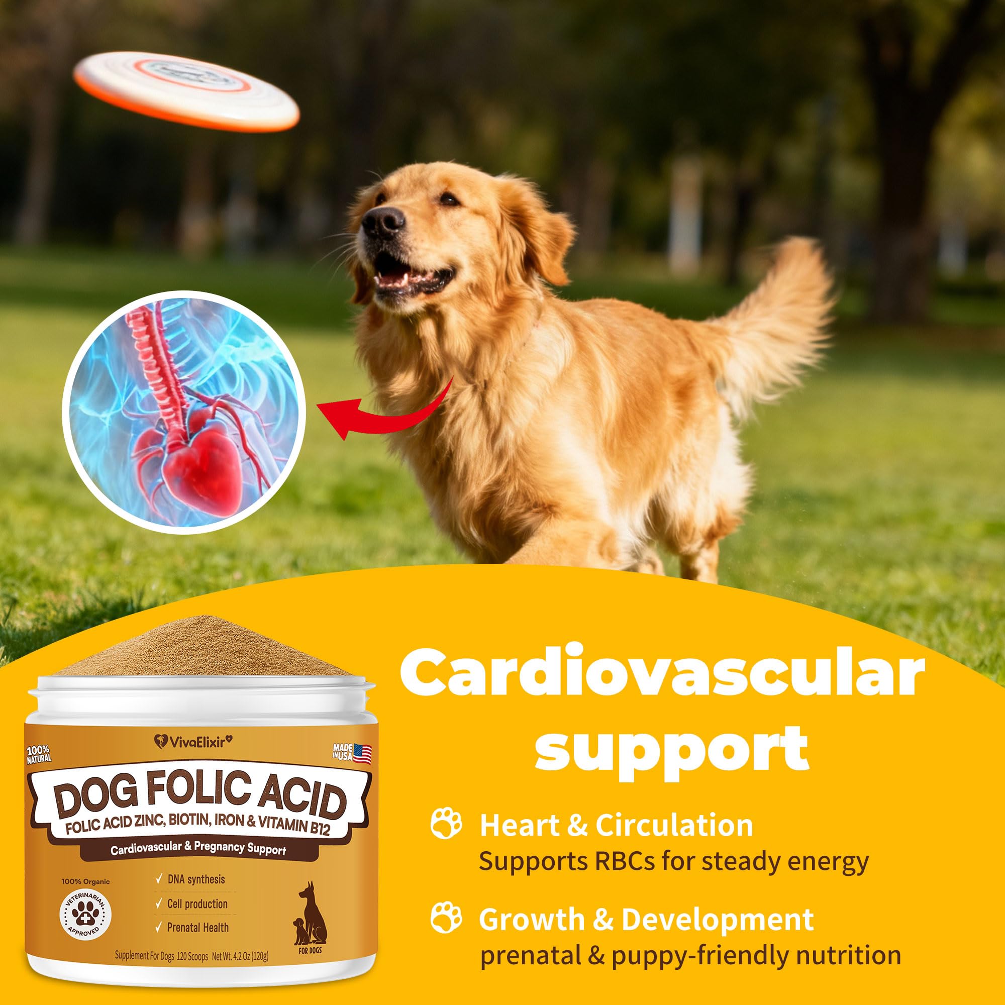 Heart Support Supplement for Dogs Aids B12& Folate Circulatory Strength, Antioxidant Cardiovascular Support, Heart Muscle Function Support DNA Synthesis & Seeking Health Prenatal 4.2oz Powder — Amazon image 4