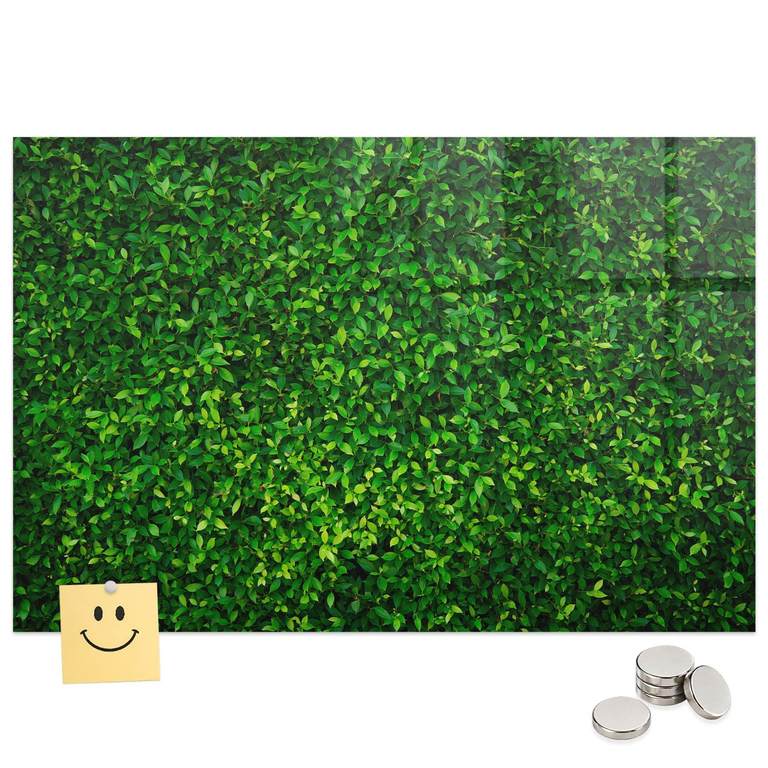 Pizarra Magnética de Notas de Metal y Vidrio 60x40 Seto de hojas | Tablero Imantado | Cristal Templado | Mural de Pared | Placa de Acero | Cartelera Informativa | Organizador de Tareas