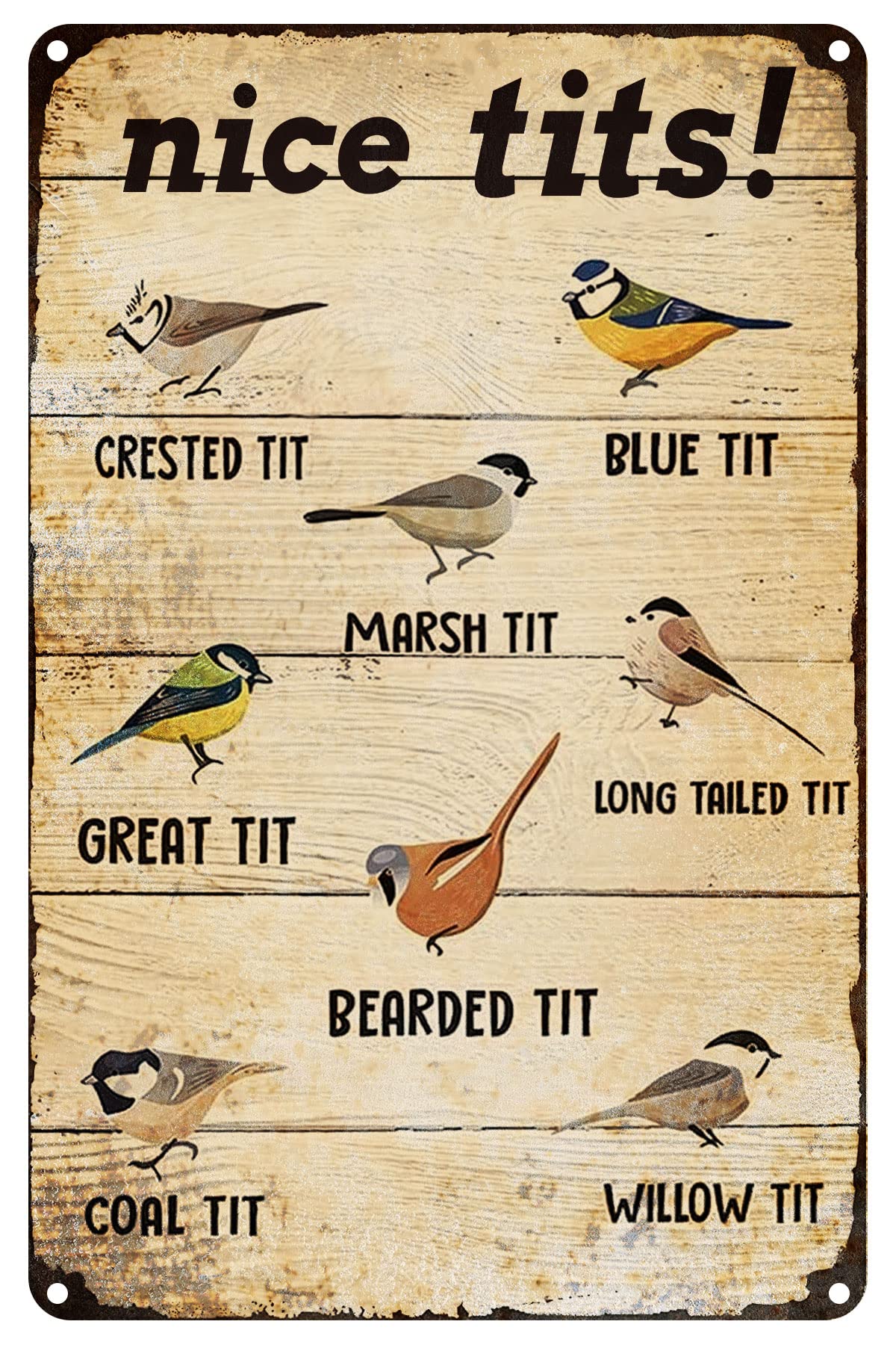Biopracess Nice Tits Bird Sign Funny Tin Sign Vintage Cave Bar Patio Novelty Sign For Home Country Decor Gifts Metal Sign Retro Vintage Tin Sign Metal Poster Wall Art Decor 8x12 Inches