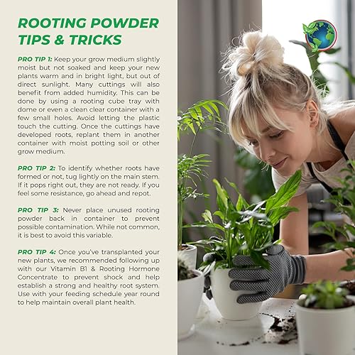 Miniatura 7 de Hormex Polvo de enraizamiento #8 - Hormona de enraizamiento para plantas moderadamente difíciles de enraizar - Forma rápida y fácil de clonar