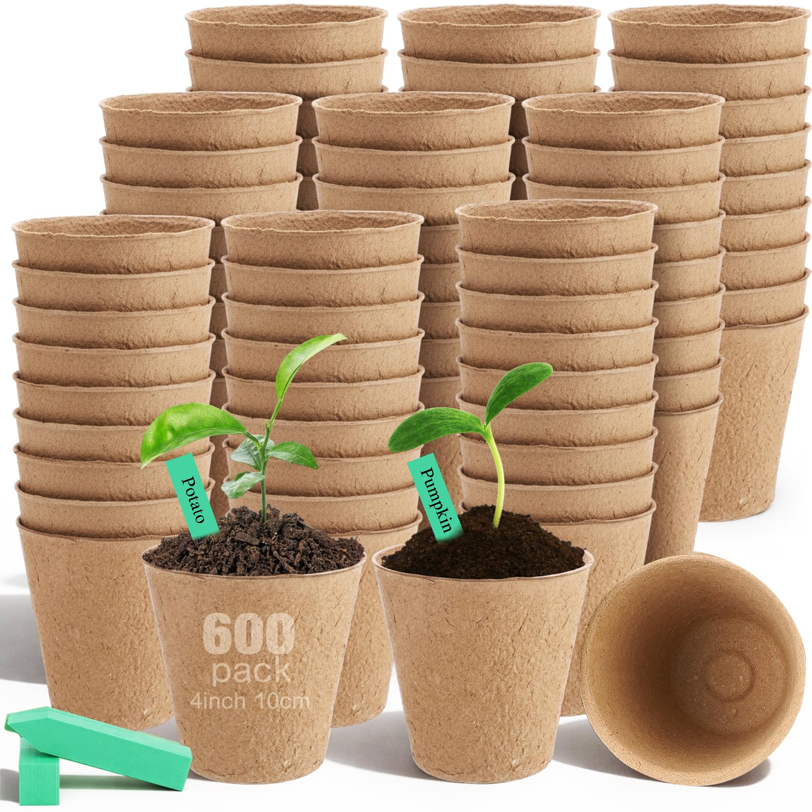Amazon.com: FillTouch 600 Pack 4