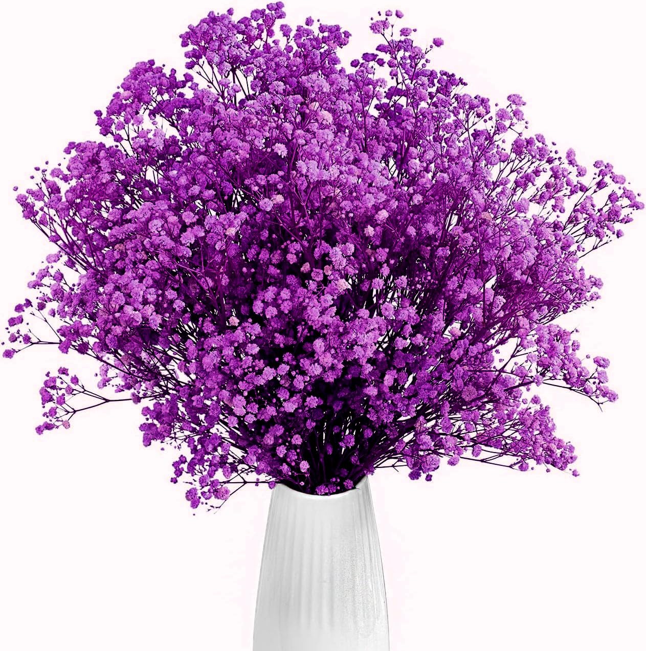 Gipizi Dried Baby’s Breath Flowers Purple
