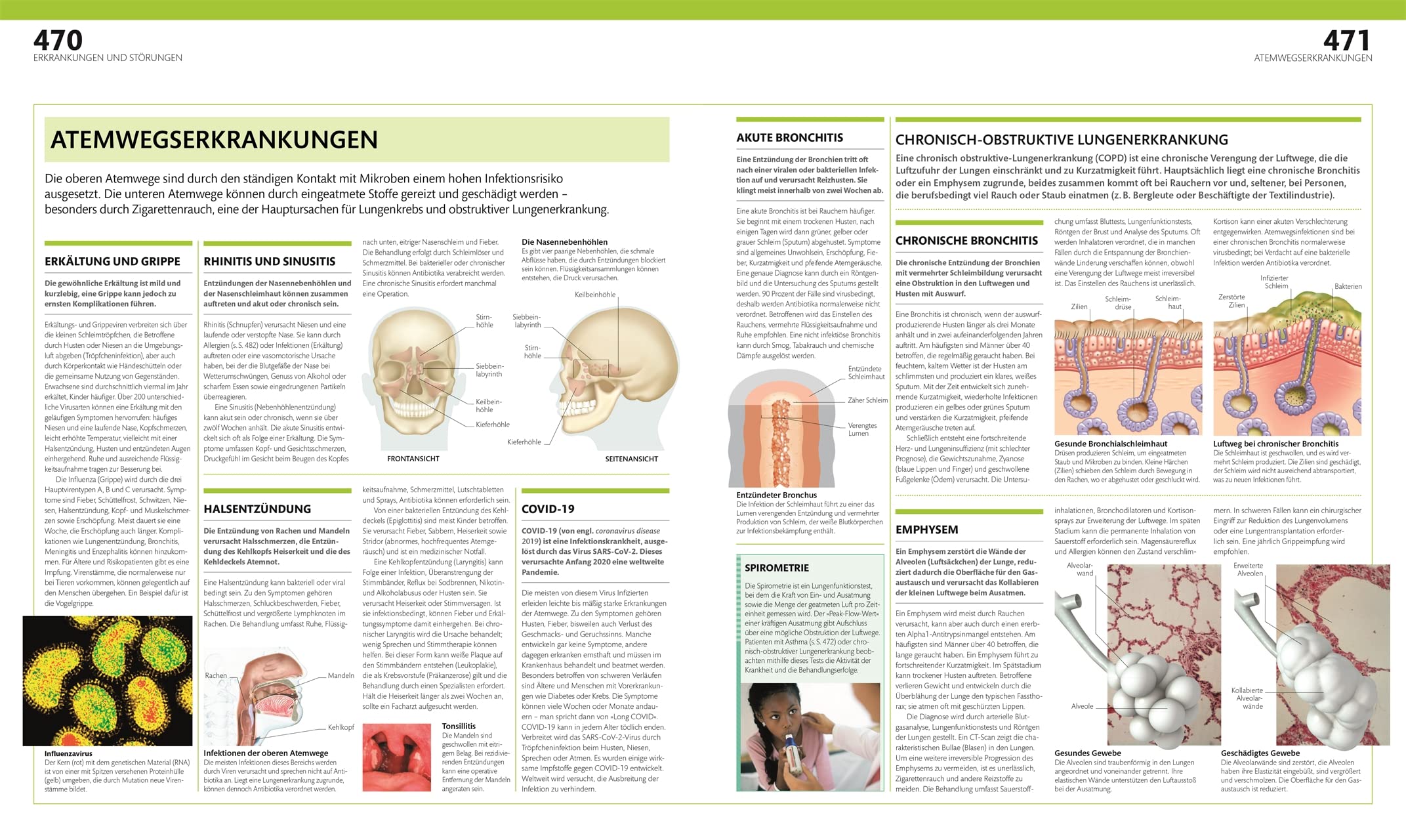 Anatomie und Physiologie: Die große Bild-Enzyklopädie mit über 2000 Abbildungen