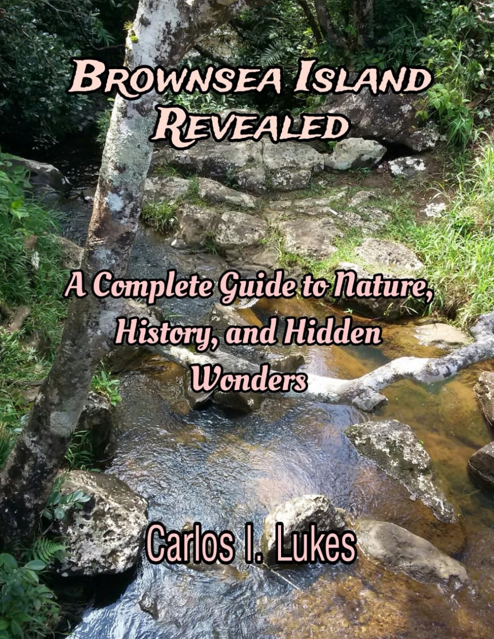 Brownsea Island Revealed: A Complete Guide to Nature, History, and Hidden Wonders
