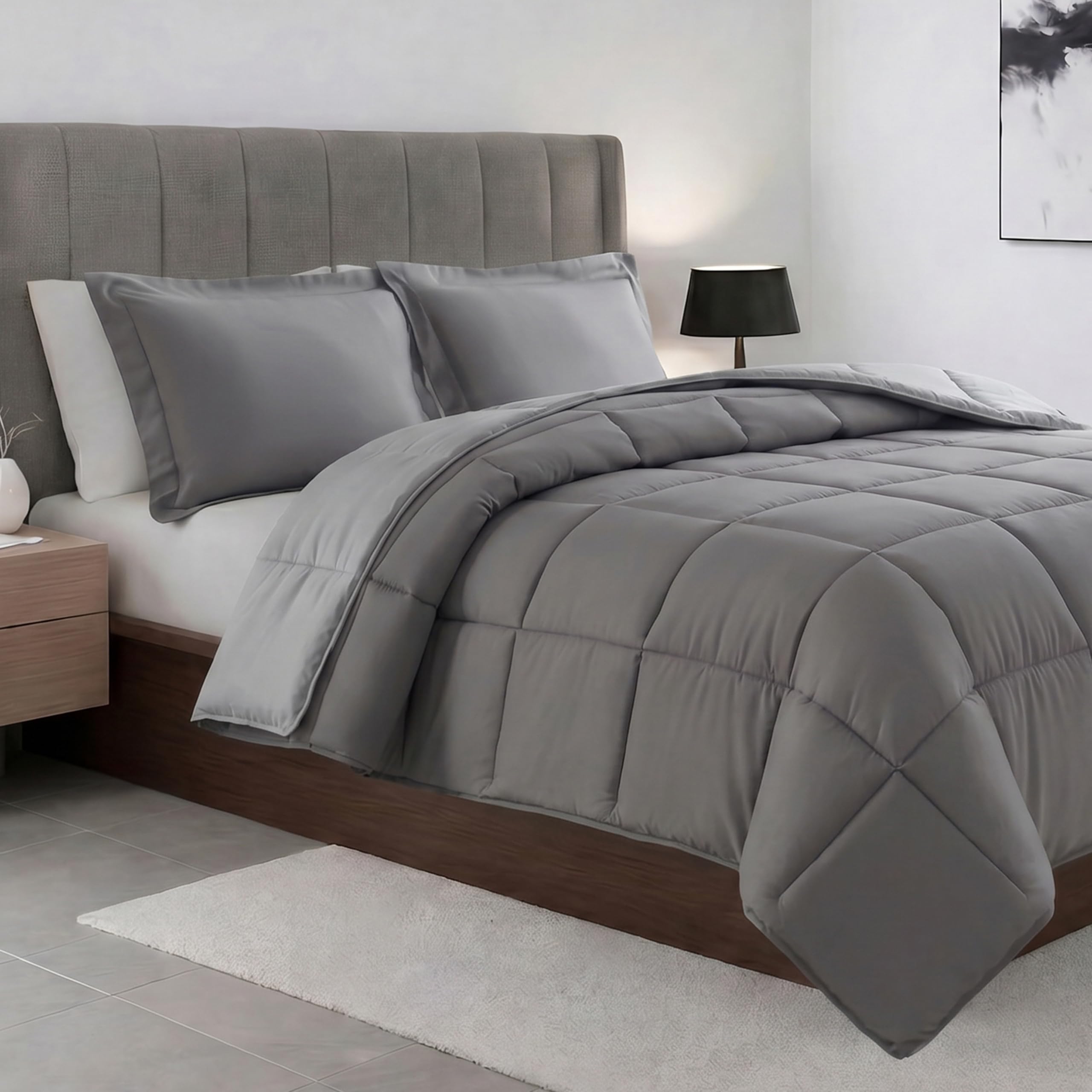 Elegant Comfort All Season Quilted 3-Piece Reversible Comforter Set-Duvet Insert with 4 Corner Tabs, Box Stitched Down Alternative, Cozy and Soft Comforter Set with Shams, Twin, Gray/Silver