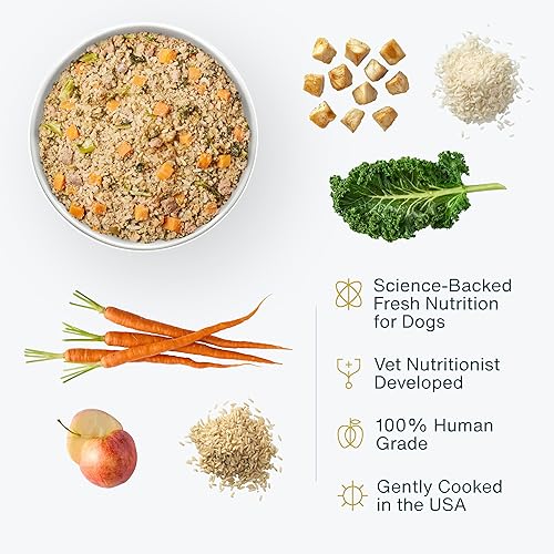 Miniatura 2 de JustFoodForDogs Alimento fresco congelado para perros, pollo de grado humano y arroz blanco, 18 onzas (paquete de 21)