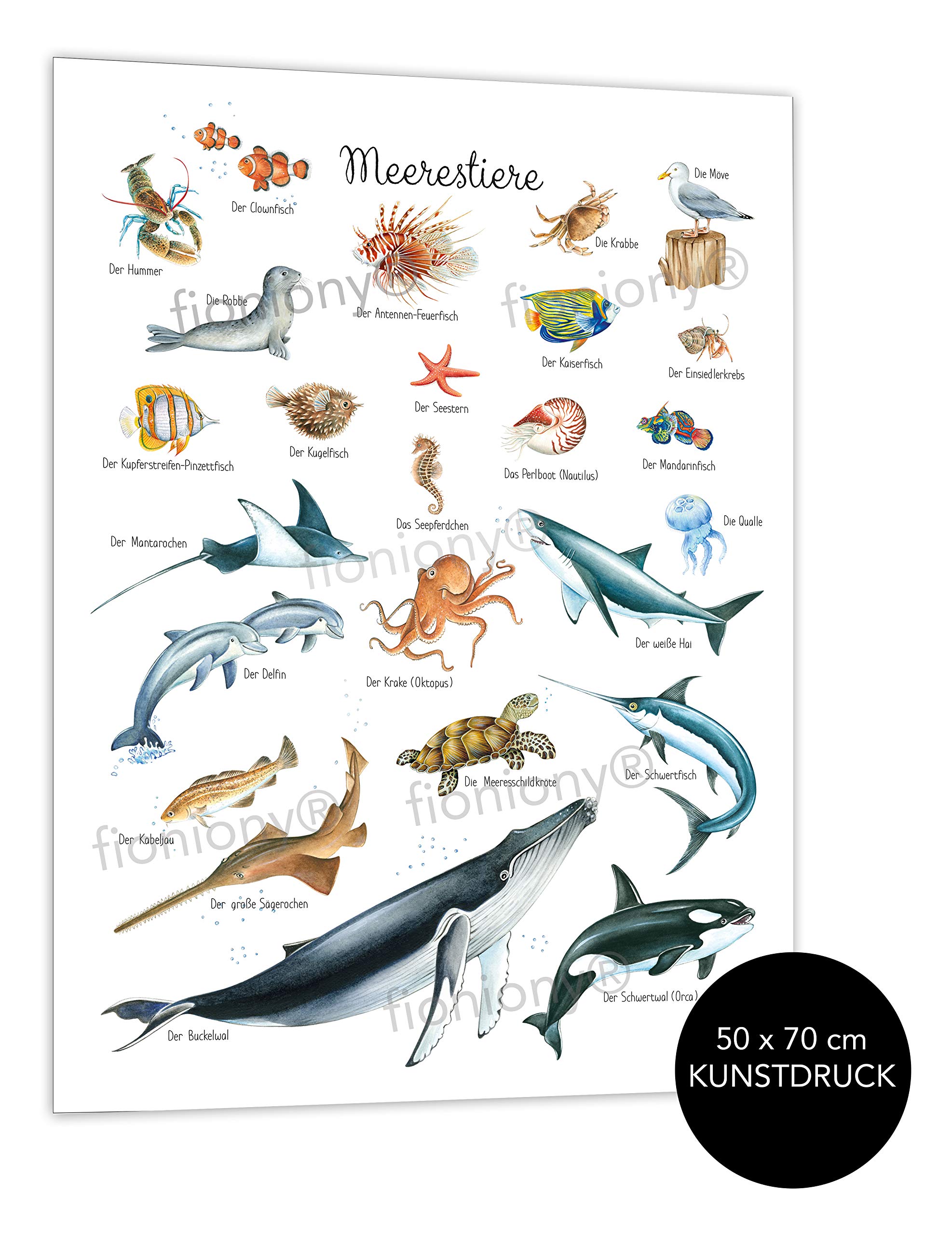 fioniony POSTER 50 x 70 cm MEERESTIERE WEIß UNGERAHMT OHNE HOLZLEISTE Tierposter Lernposter Schulanfang 1. Klasse Kinderposter Kinderzimmer Deko Geburt Babyzimmer Wandbild Schule Kindergarten