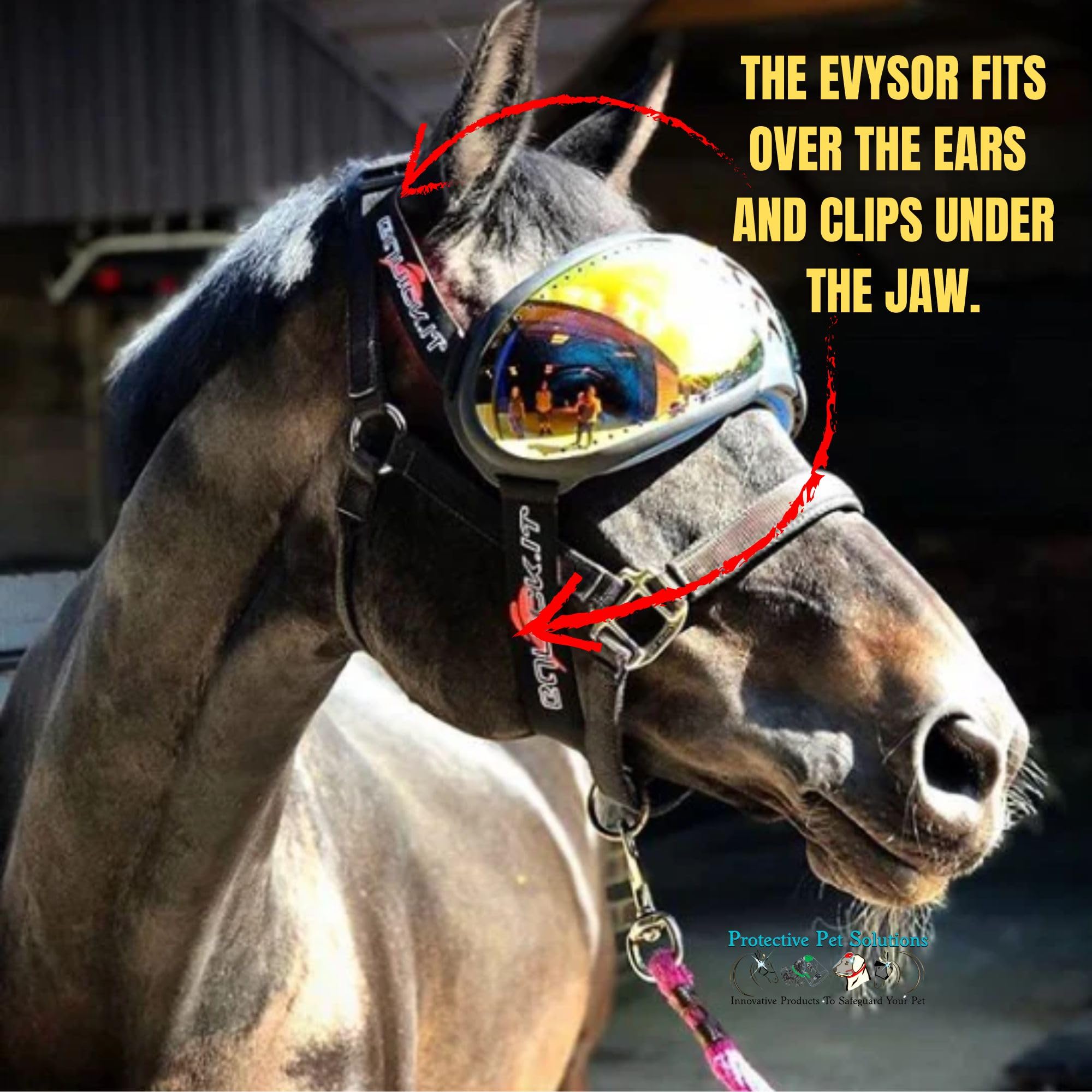 UV Protection Horse Riding Goggles by eQuick it - Mirrored Orange Lenses product thumbnail 4