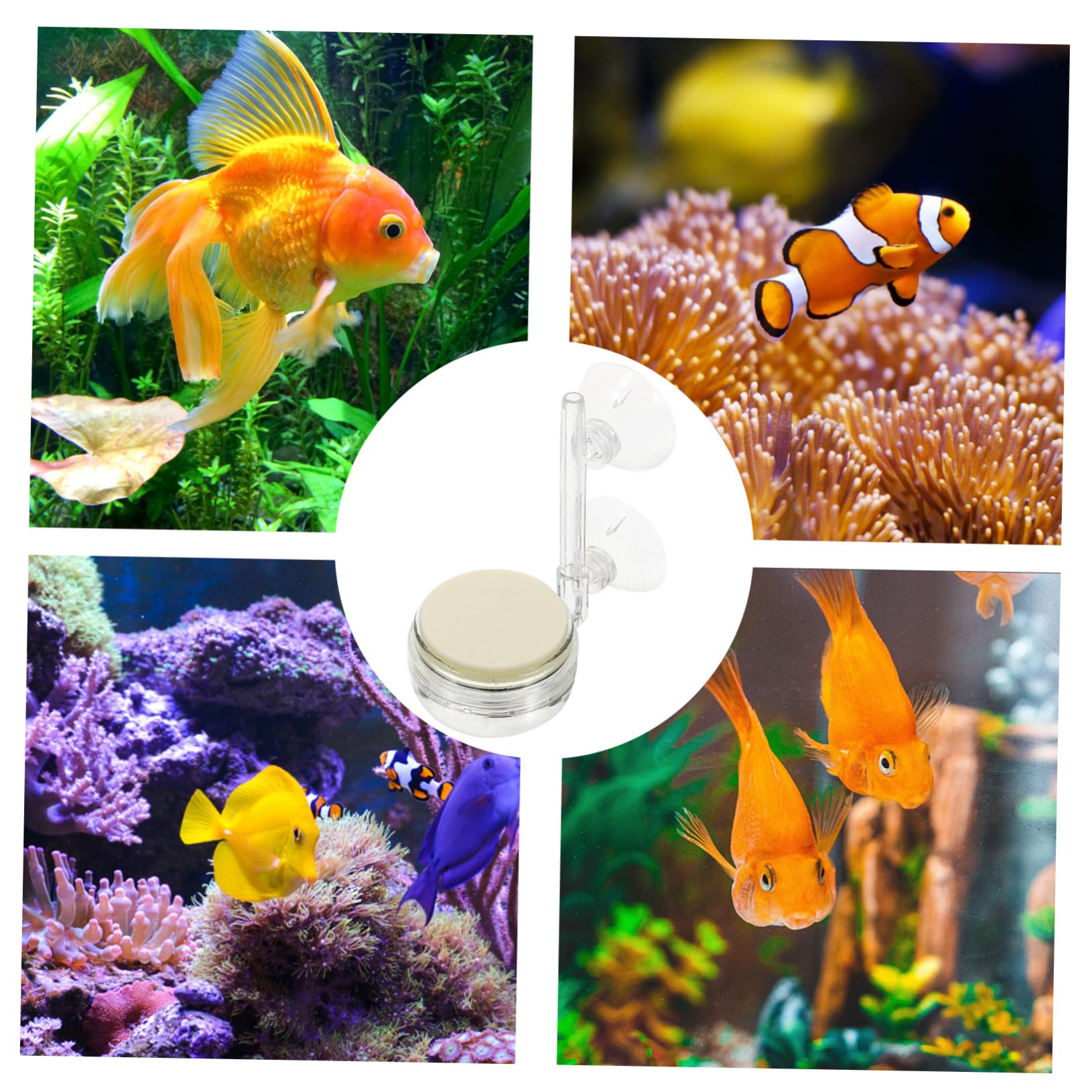 Natural Wood Air Stone Bubbler – Quiet Oxygen Diffuser For Aquariums, Fish Tanks & Hydroponics - View #8