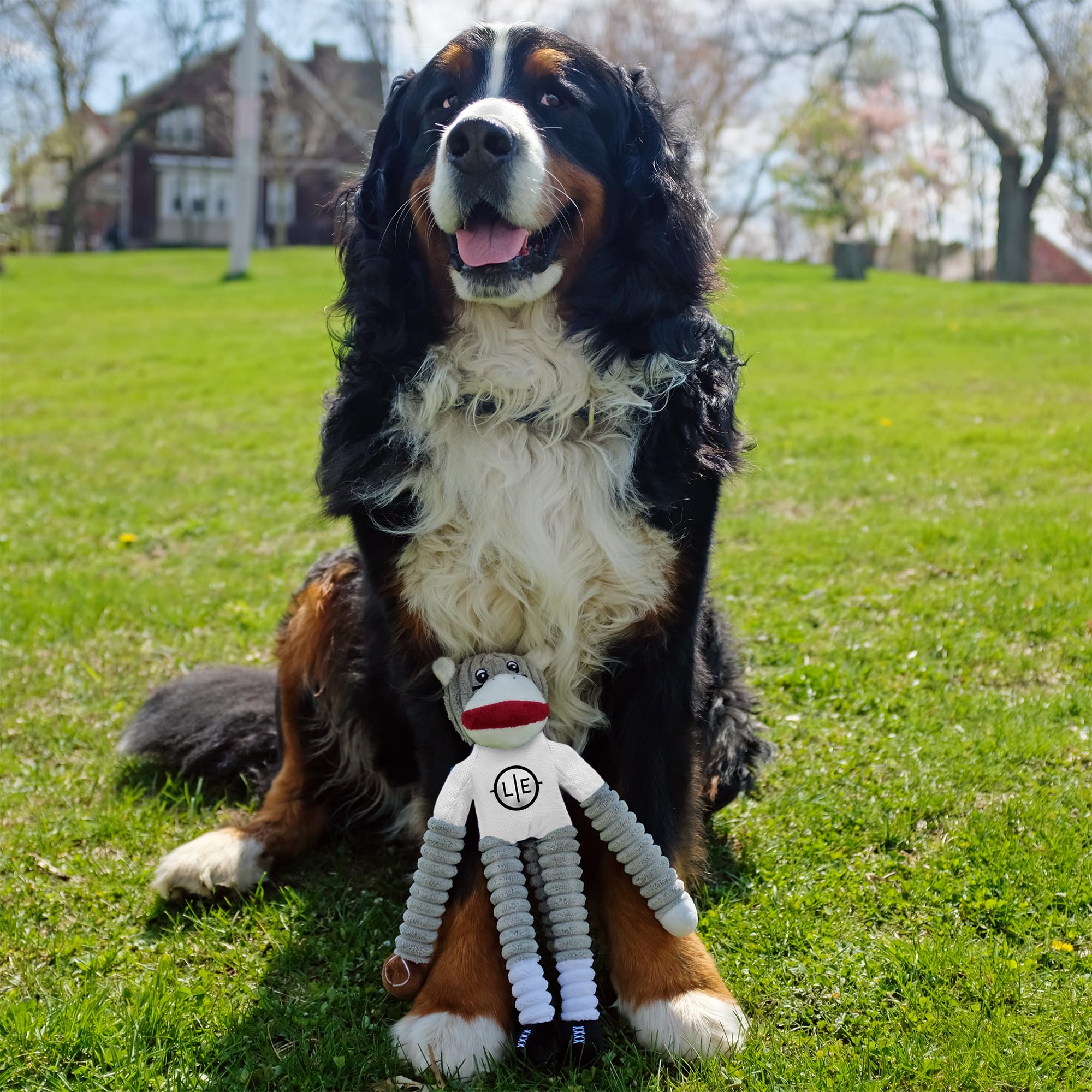 Little Earth Productions Littlearth Cleveland Browns NCAA Sock Monkey - Juguete para Mascotas