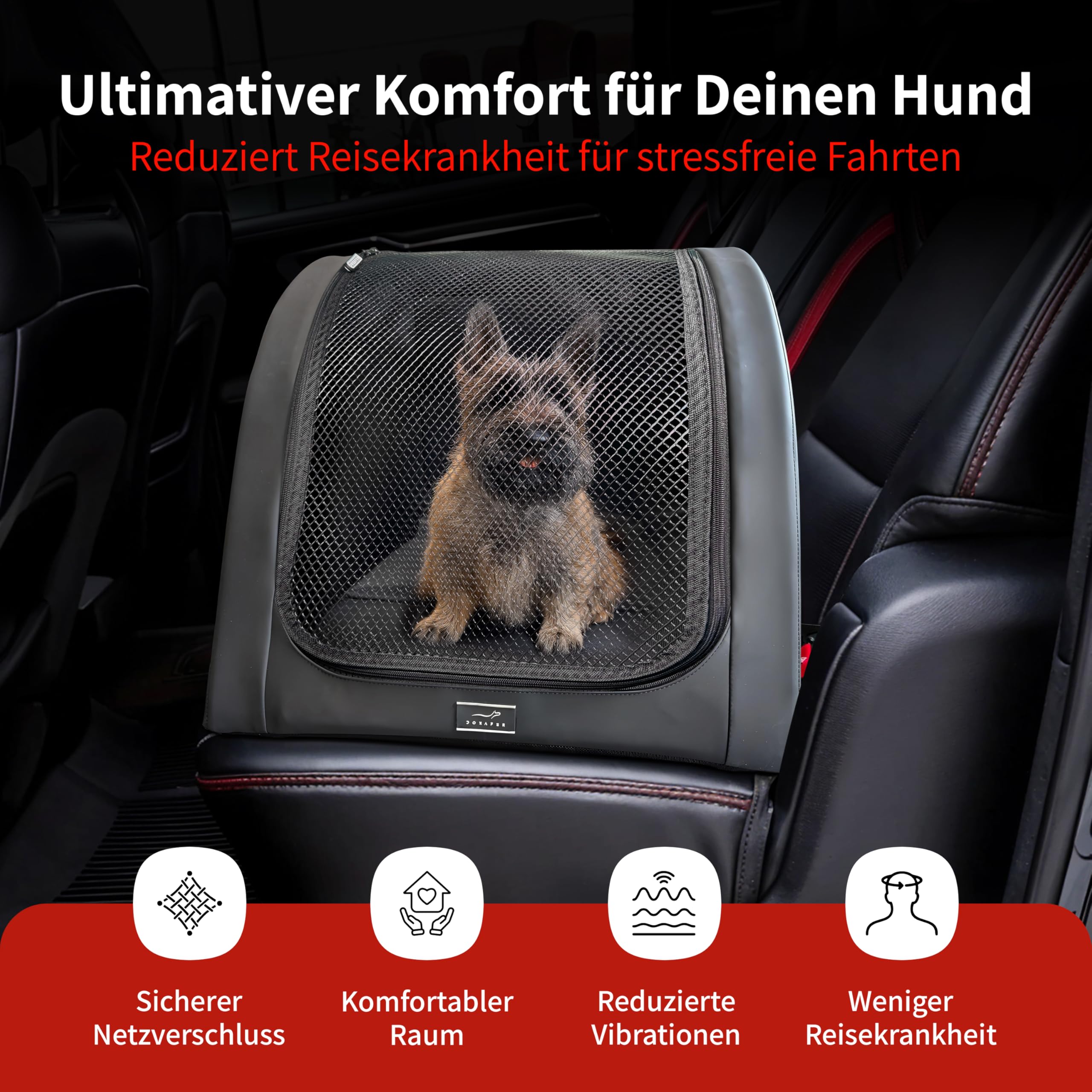 Isofix Cane Box per auto (nero, XXS)