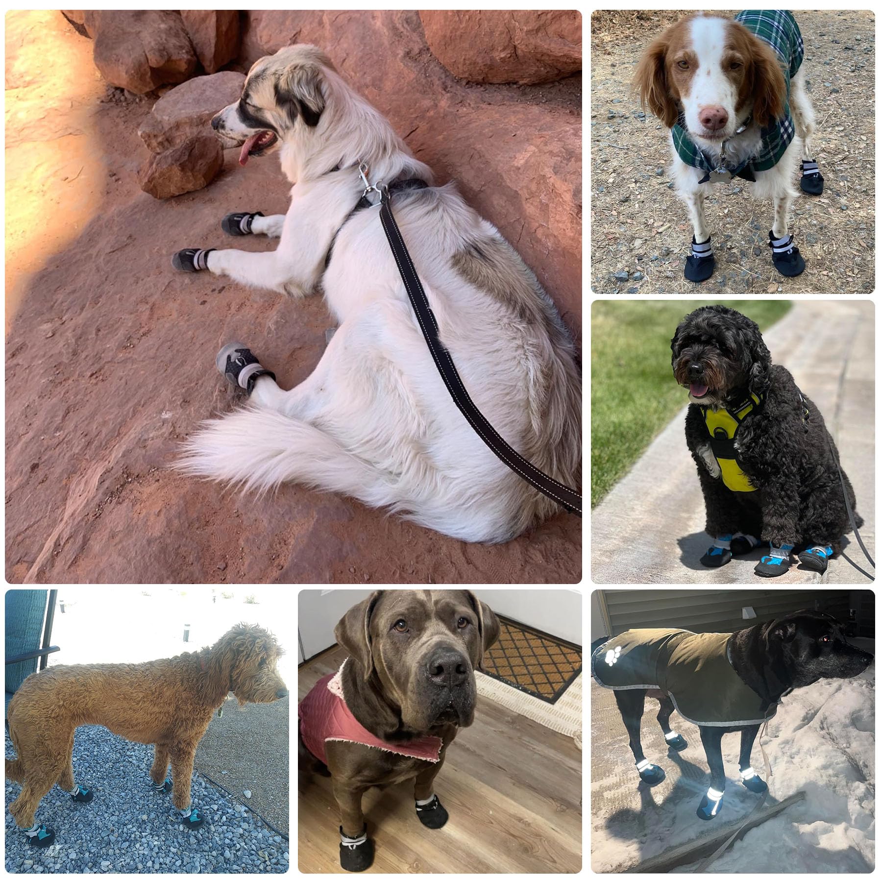 Dimicoo Breathable Dog Boots for Medium Large Dogs,Non-Slip Dog Shoes for Winter Snow and Summer Hot Pavement,Lightweight Paw Protector Dog Booties for Outdoor Walking Indoor Hardwood Floors - image 6