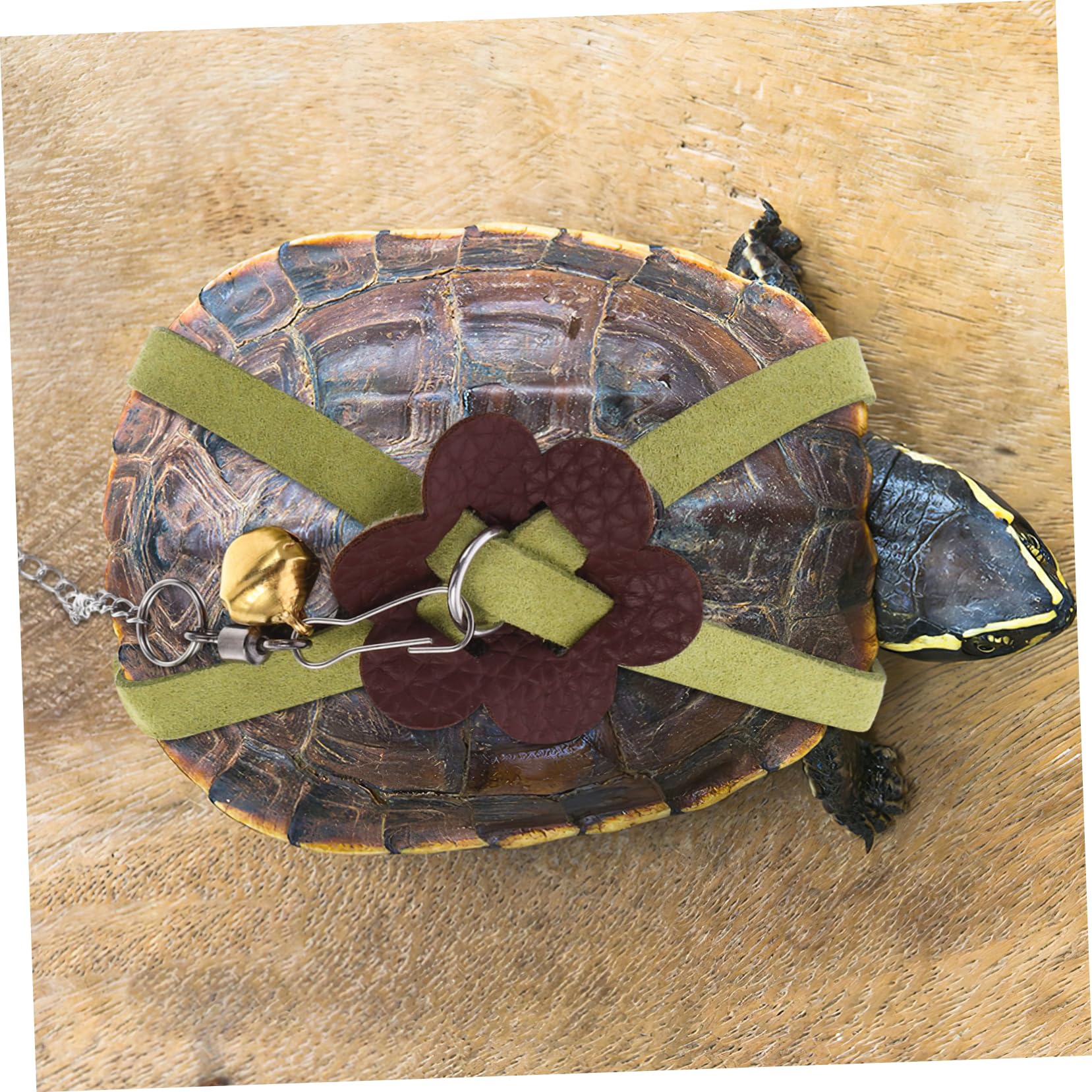 BESPORTBLE Turtle Harness Strap Practical Turtle Leash Tortoise Traction Harness Portable Tortoise Pet Hauling Rope Pet Supplies Random