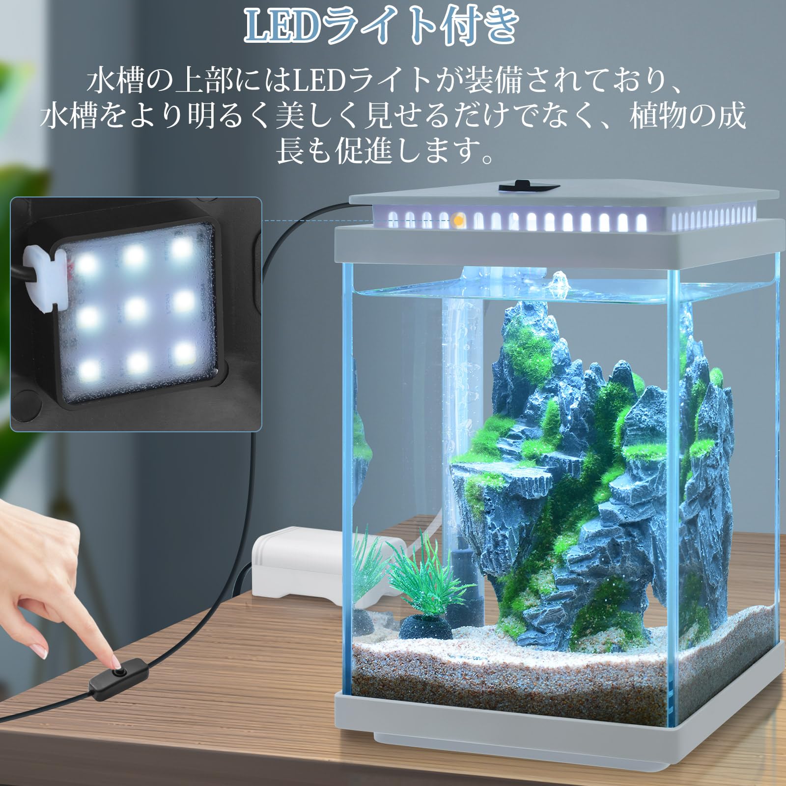 Amazon | FEDOUR 5L小型ガラス水槽、静かな透明アクアリウム、LED 