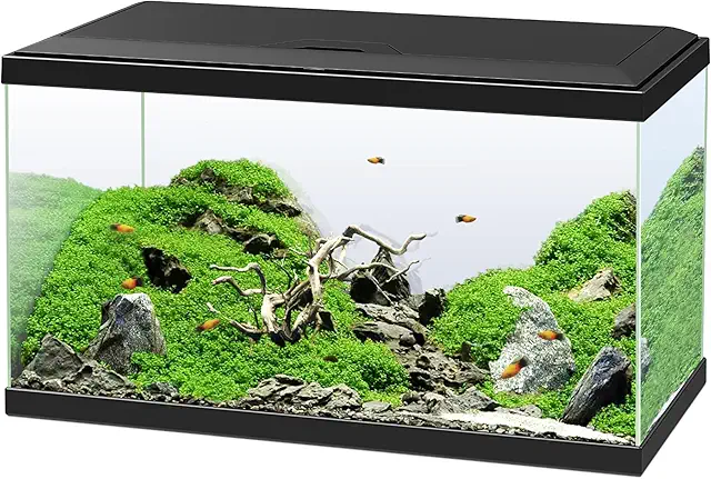 Ciano Aquarium 60 Noir 58L - Équipé Filtre, LED, Chauffage - Aquarium 100L