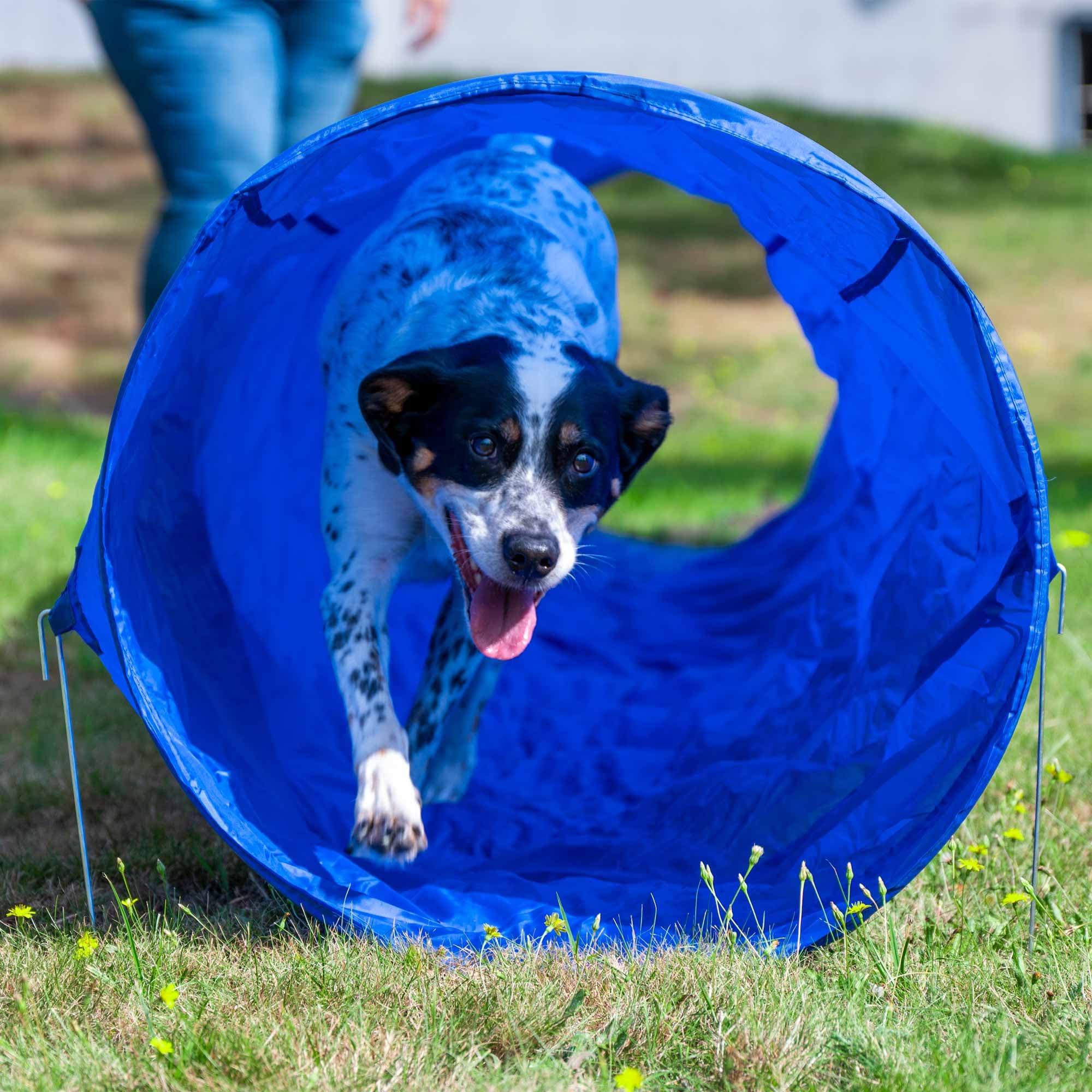Agility Tunnel
