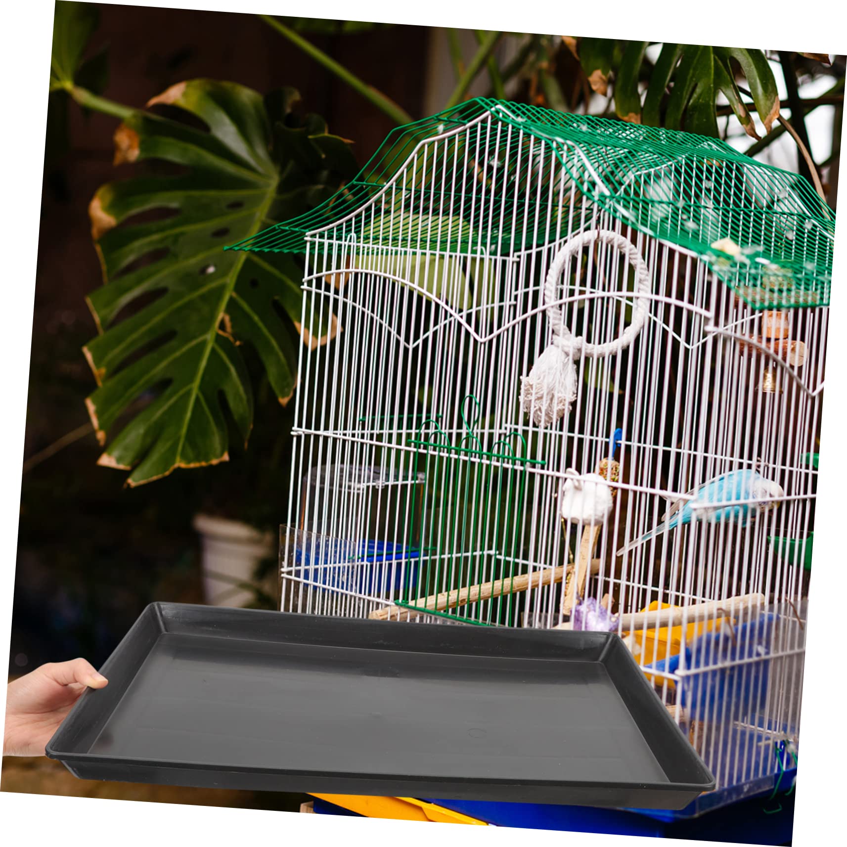 BESPORTBLE Pet Kennel Replacement Trays Sturdy Plastic Dog Tray Parakeet Poop Holder Parrot Potty Tray Cage Holder