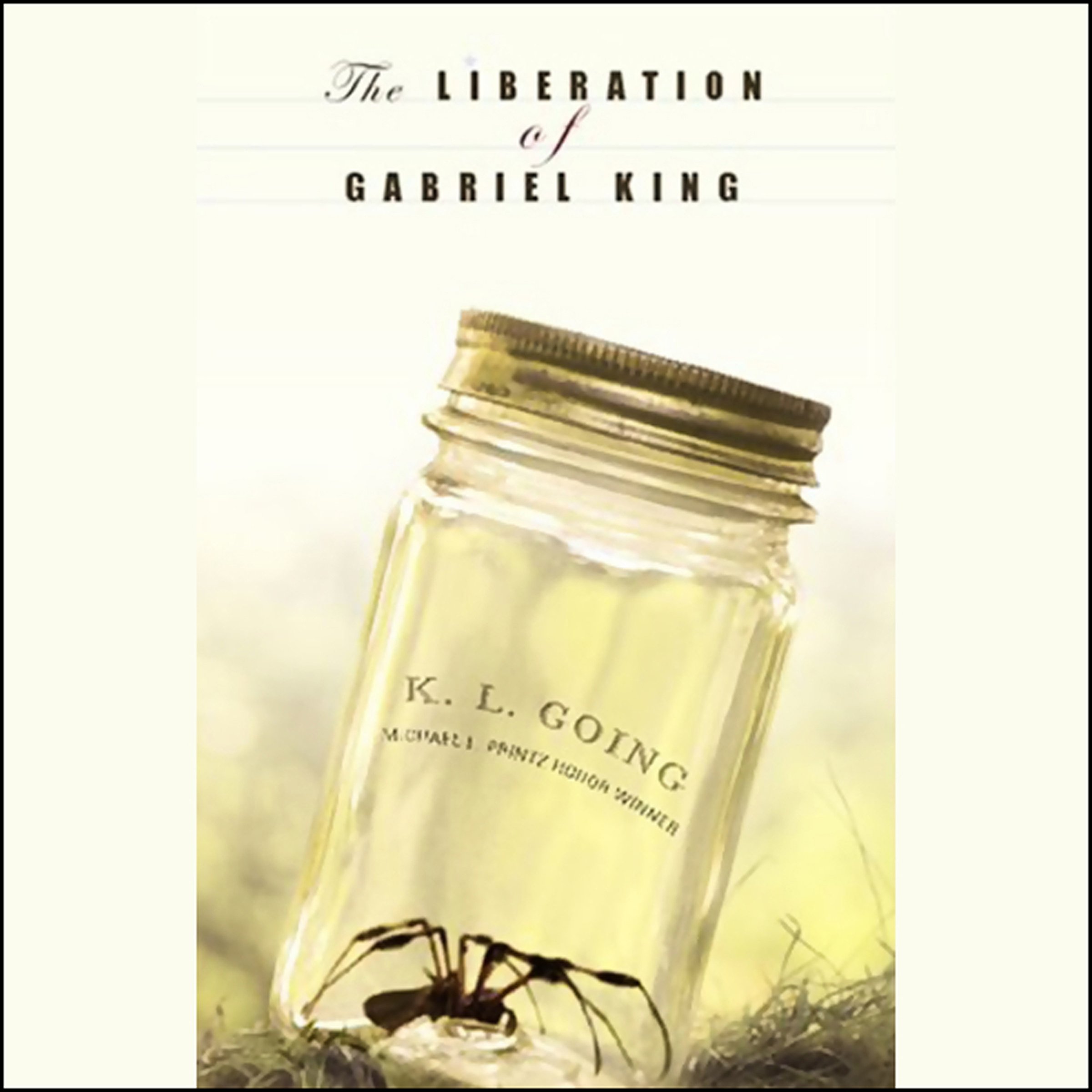 Cover art for The Liberation of Gabriel King