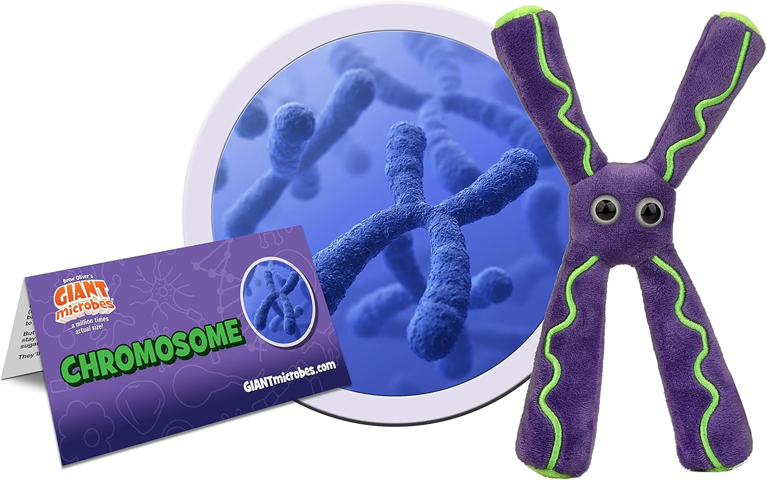 GIANT MICROBES Chromosome Plush, Genetics Gift, DNA Gifts, Genealogy, Ancestry Gift, Biology Plushies, Genetic Counselor, Forensic Science Gifts, Biology Models