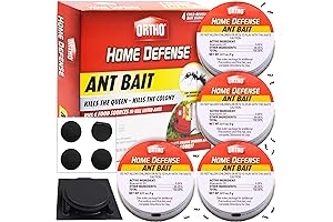 Ortho Home Defense 4-Pack Pet-Safe Ant Traps for Indoor and Outdoor Use