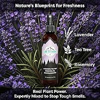 Vista 7 de Lumi Outdoors Spray Desodorizante Natural para Zapatos Paquete de 3 - Eucalipto Limón, Árbol de Té Cítrico, Árbol de Té Lavanda