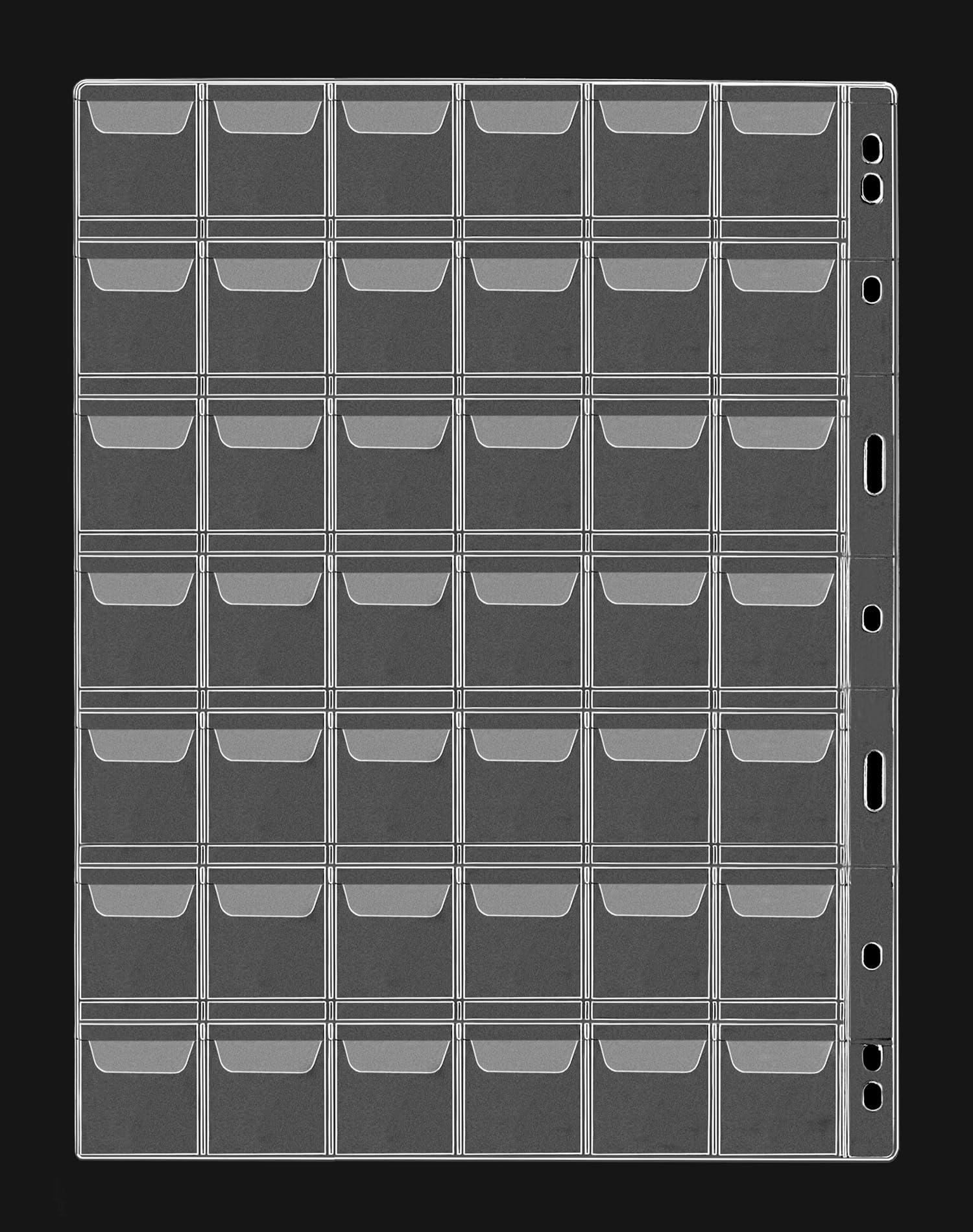 QWORK® 12 Fogli Raccoglitore Monete, Porta Monete con 9 Fori, 42 Scomparti da 29 mm