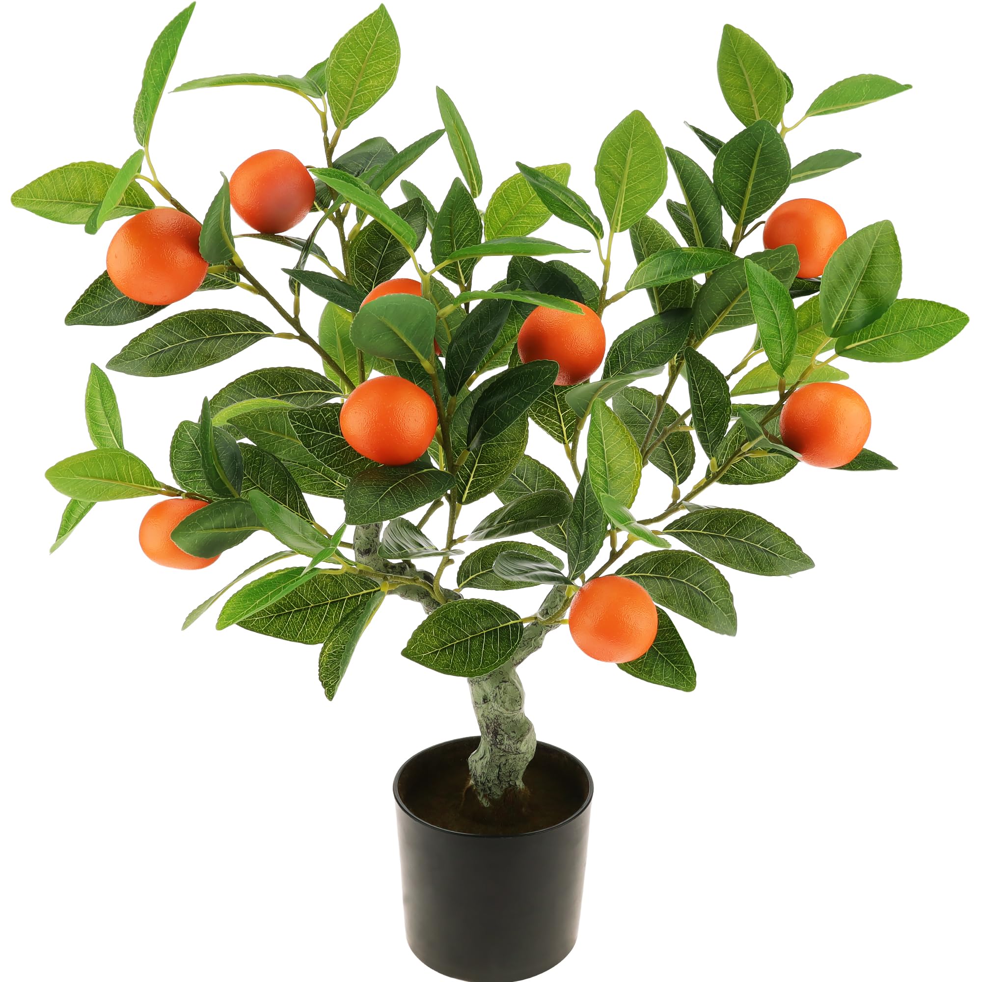 果樹 e.orange Amazon.com: Funzhan 23 Inch Realistic Artificial Orange Tree Faux
