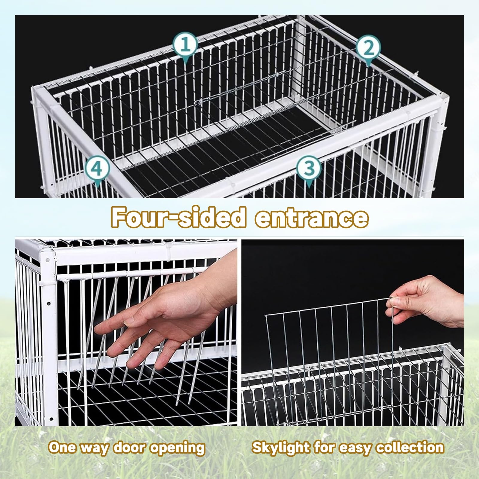 Trampas for Palomas con diseño antiescape, Jaula for Palomas Salvajes, Trampa humanitaria for Palomas con diseño antiescape.(No Skylight,4 Imports_40*30CM)