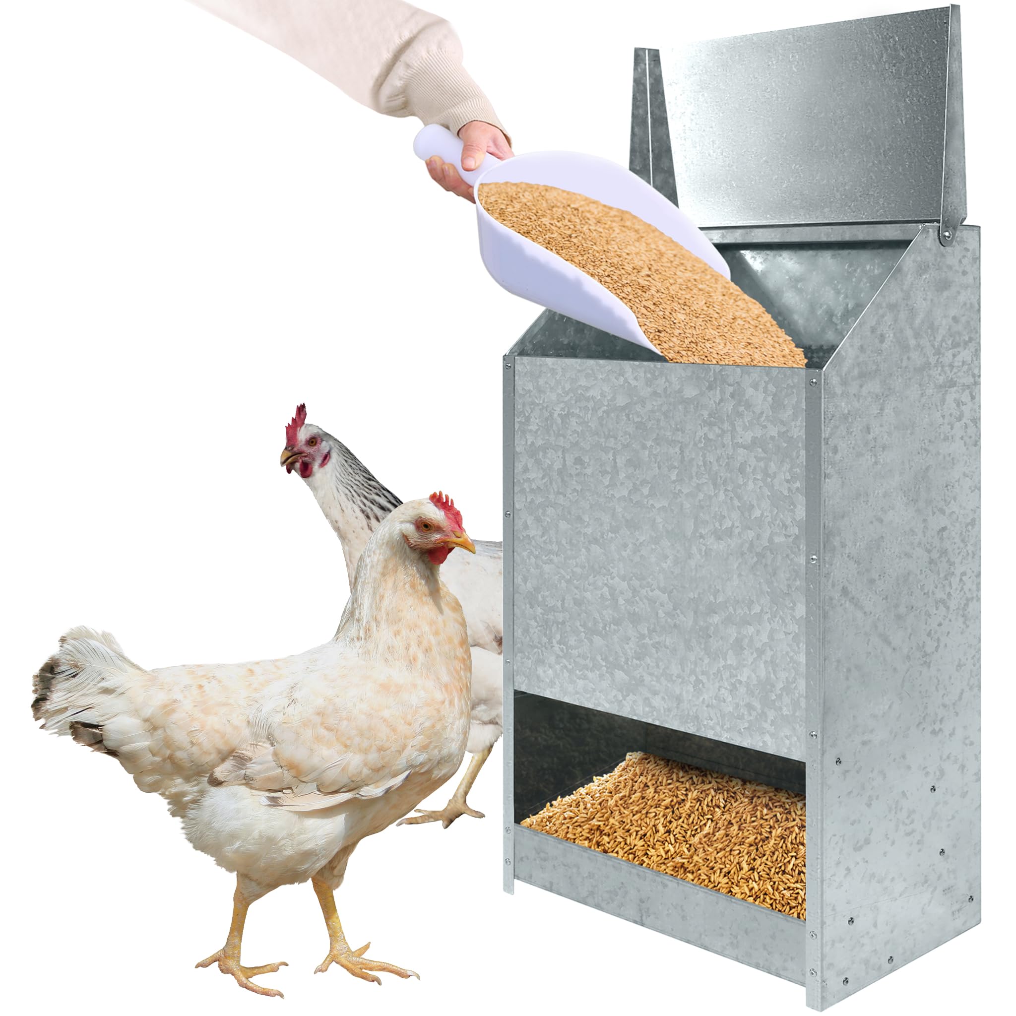 NAIZY 22 kg Comida para Pollos Grande Comedero para Gallinas, Comedero Galvanizado, Soporte de Pared con Tapa, Comedero Automático para Aves de Corral, Pollos, Pavos, Gansos, Patos