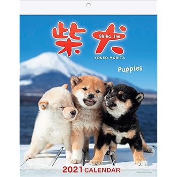Amazon Com Shiba Inu Wall Calendar With Adorable Shiba Dog Puppies Pictures Wall Calendar 2021 Office Products