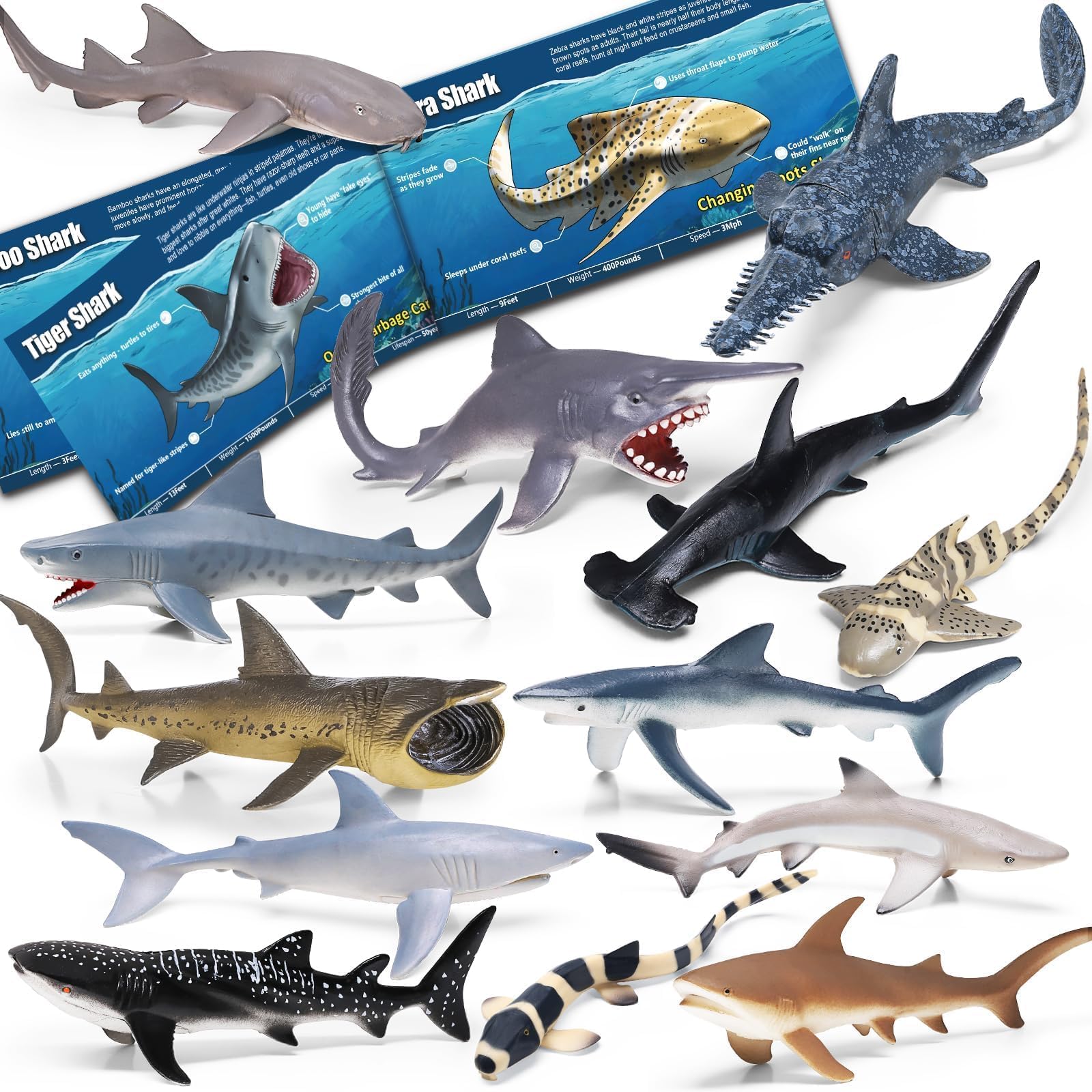 Photo 1 of 13 Pack Shark Toys Set with Booklet and Gift Box, Realistic Plastic Shark Figurines, Sea Creature Toy for Kid, Shark Party Decoration, Cake Topper, Educational Ocean Animals for Toddlers, Boys Girls
