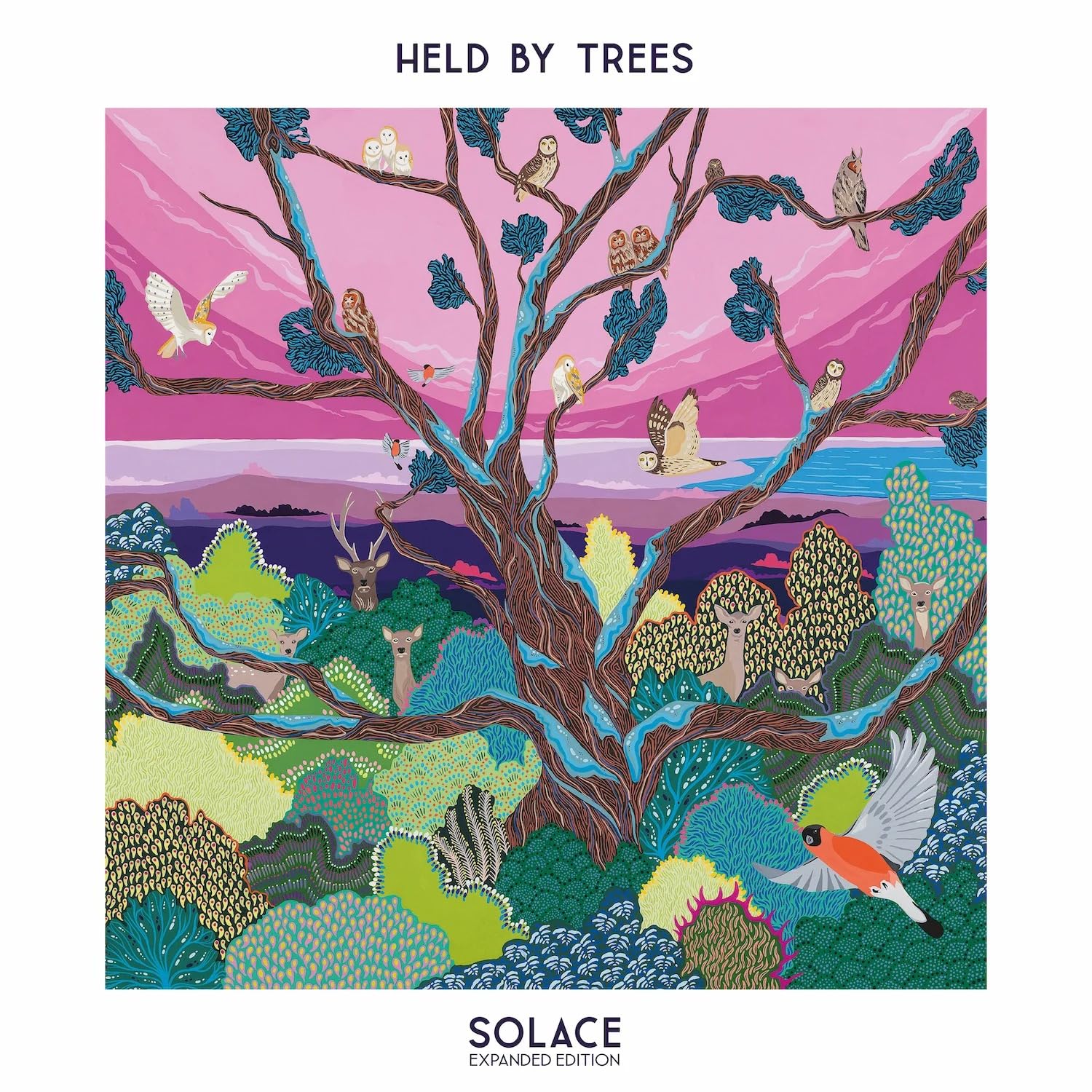 Solace (Expanded Edition) (Rsd2024) [VINYL]