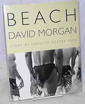 Amazon.com: Beach: 9780312265588: David Morgan, Ernesto