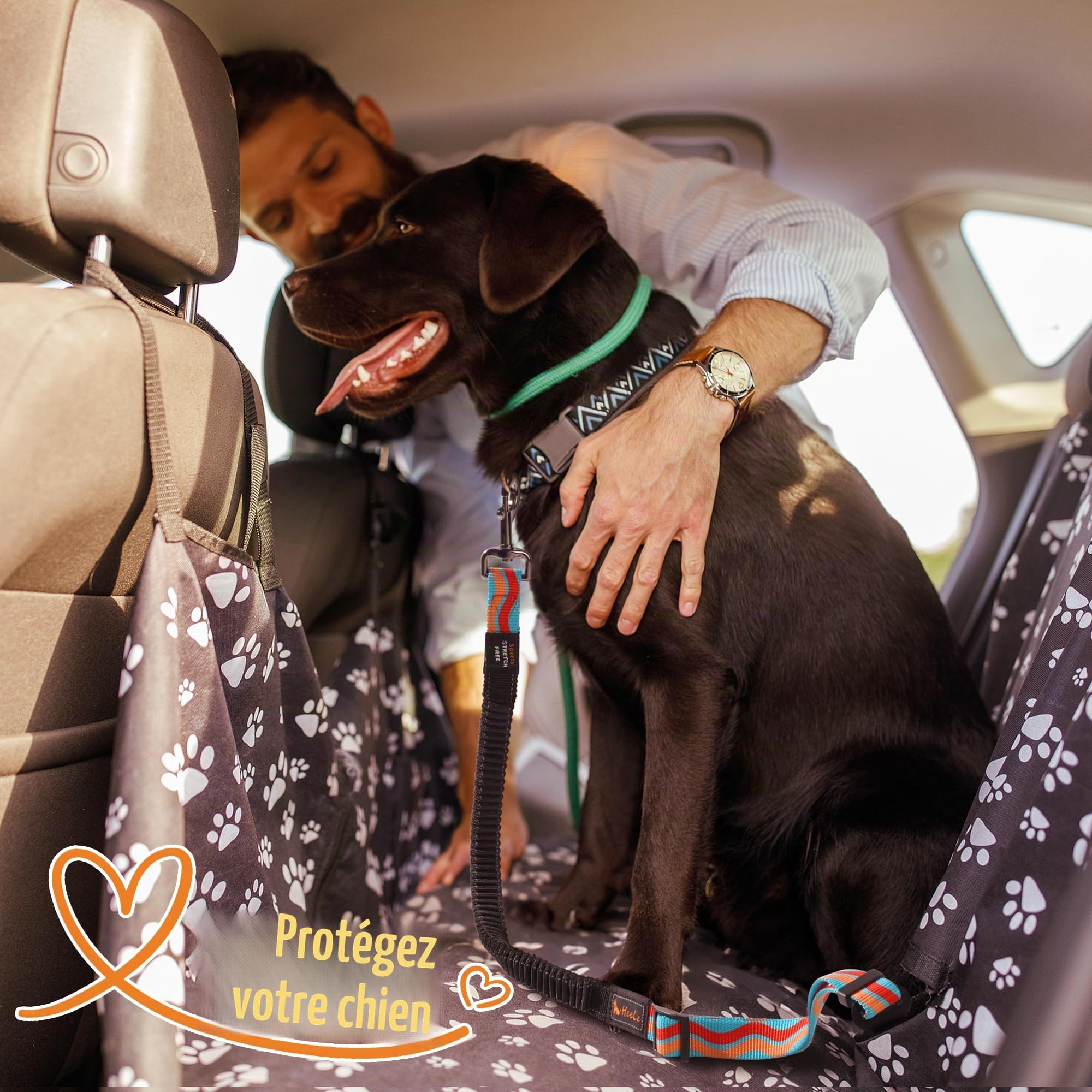AYADA Ceinture Chien Voiture Securite Réglable Nylon Elastique Antichoc,Attache Chien Voiture Voyage Indéchirable Harnais Chat Animaux Compagnie Laisse Agrafe Métal Accessoires Mousqueton (Bleu Ciel)