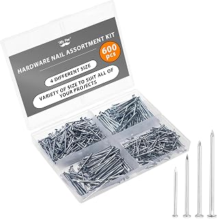 Mr. Pen Nail Assortment Kit, 600pcs Small Finishing Nails 4 Sizes Silver - Picture Hanging, Woodworking Repair