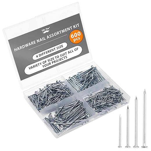Mr. Pen- Nail Assortment Kit, 600pc, Small Nails, Nails, Nails for Hanging Pictures, Picture Hanging Nails, Finishing Nails, Hanging Nails, Picture Nails, Wall Nails for Hanging, Pin Nails