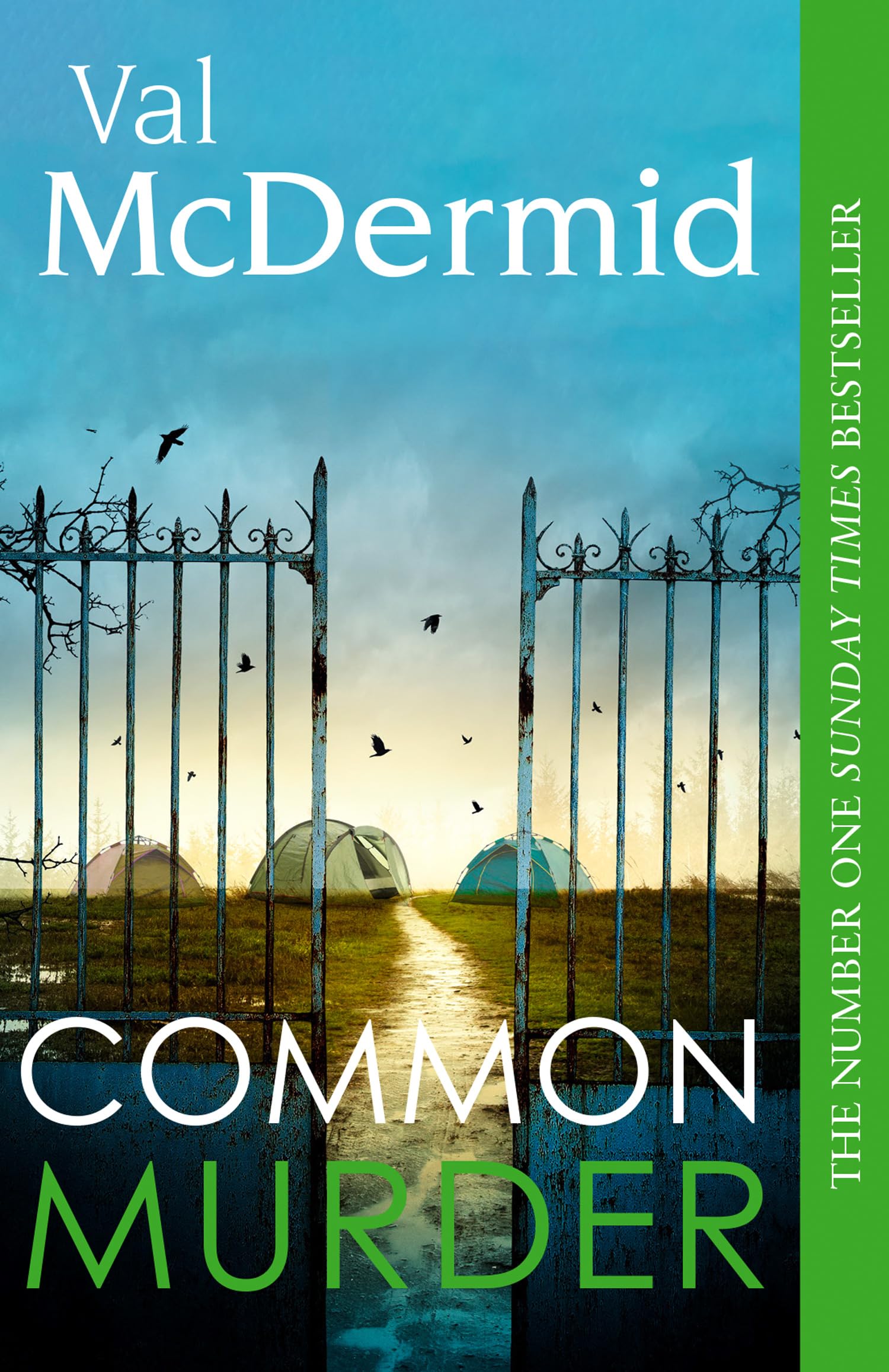 Val McDermid Common Murder Paperback Book
