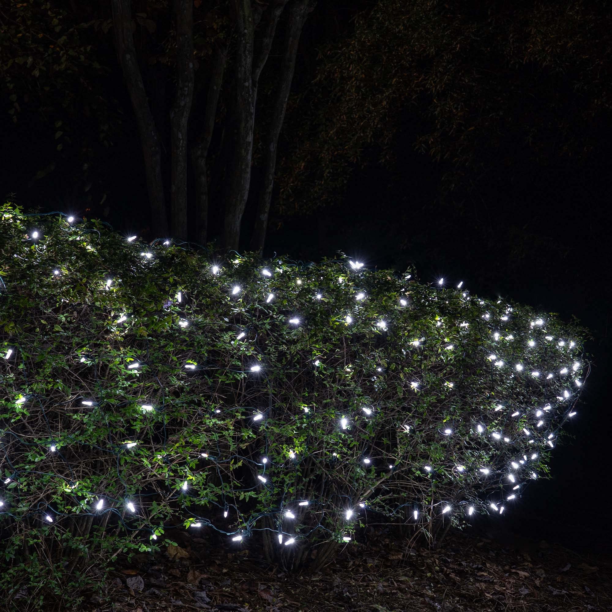 Net Lights Cool White atelieryuwa.ciao.jp