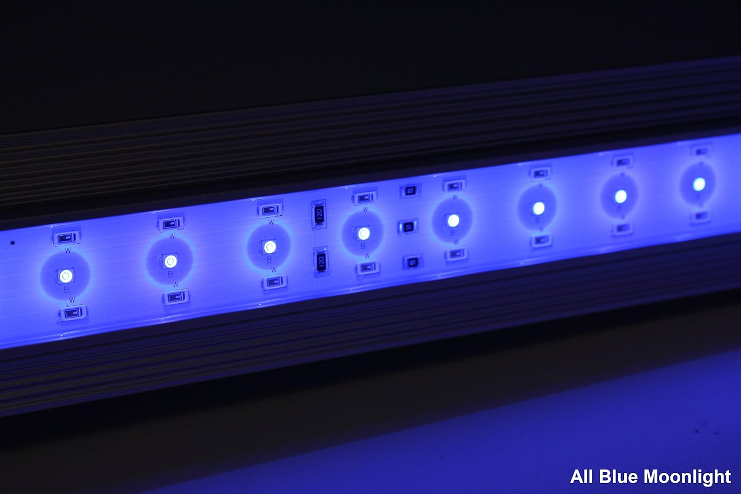 ZP-4000-438 All Blue Waterproof Aquarium LED Light, 18-23"