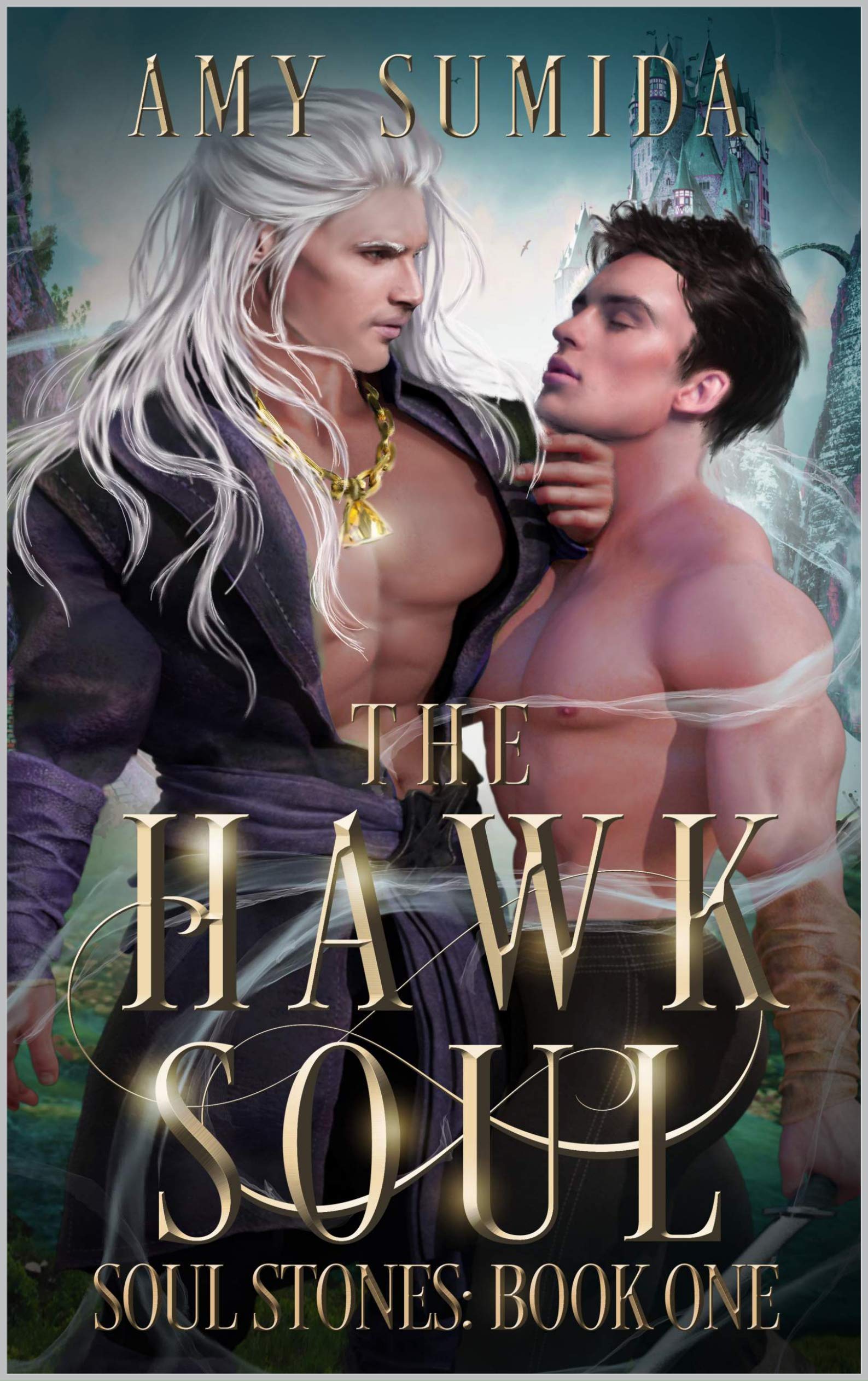The Hawk Soul: An MM Shifter Fantasy Romance (The Soul Stones Book 1)