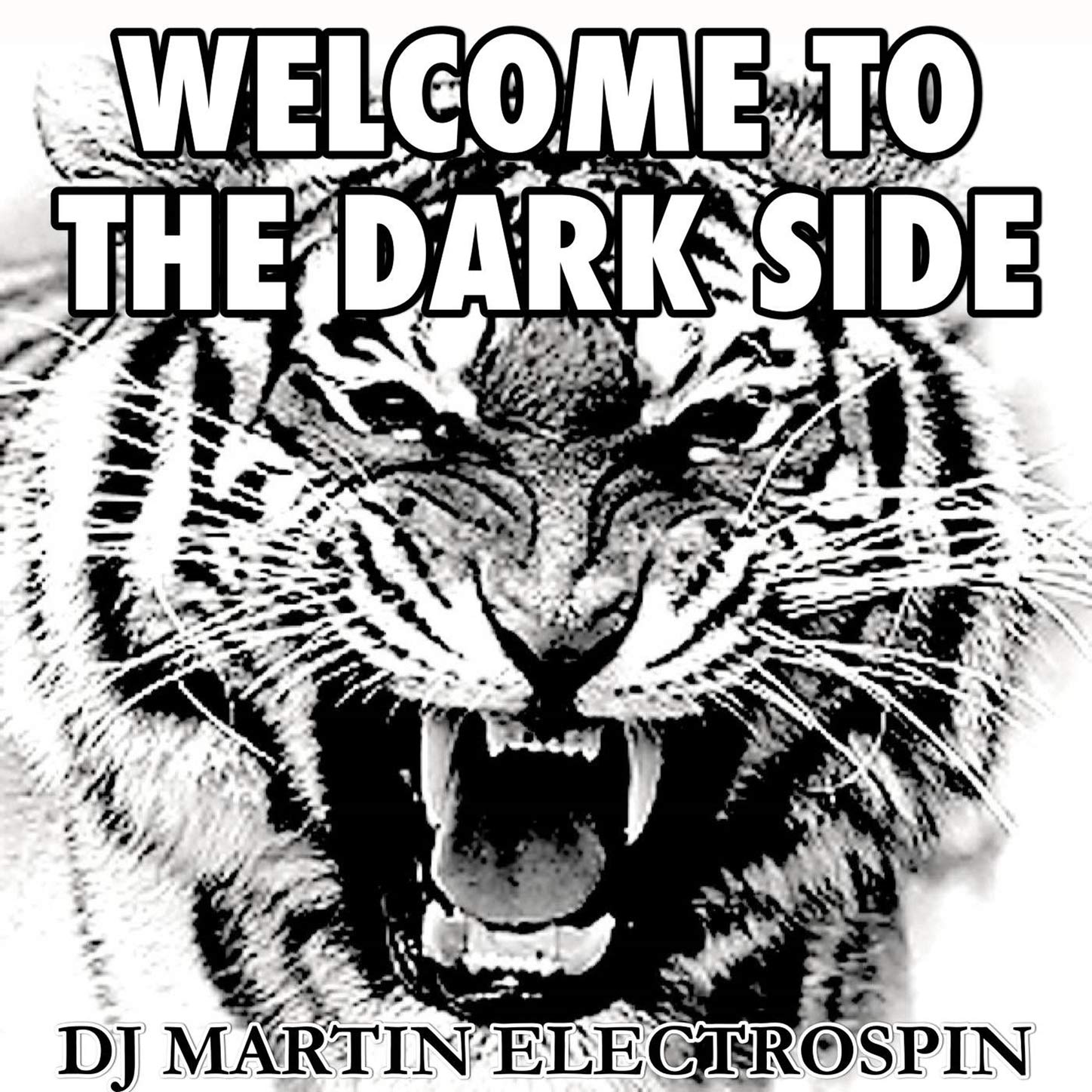 DJ Martin ElectroSpin